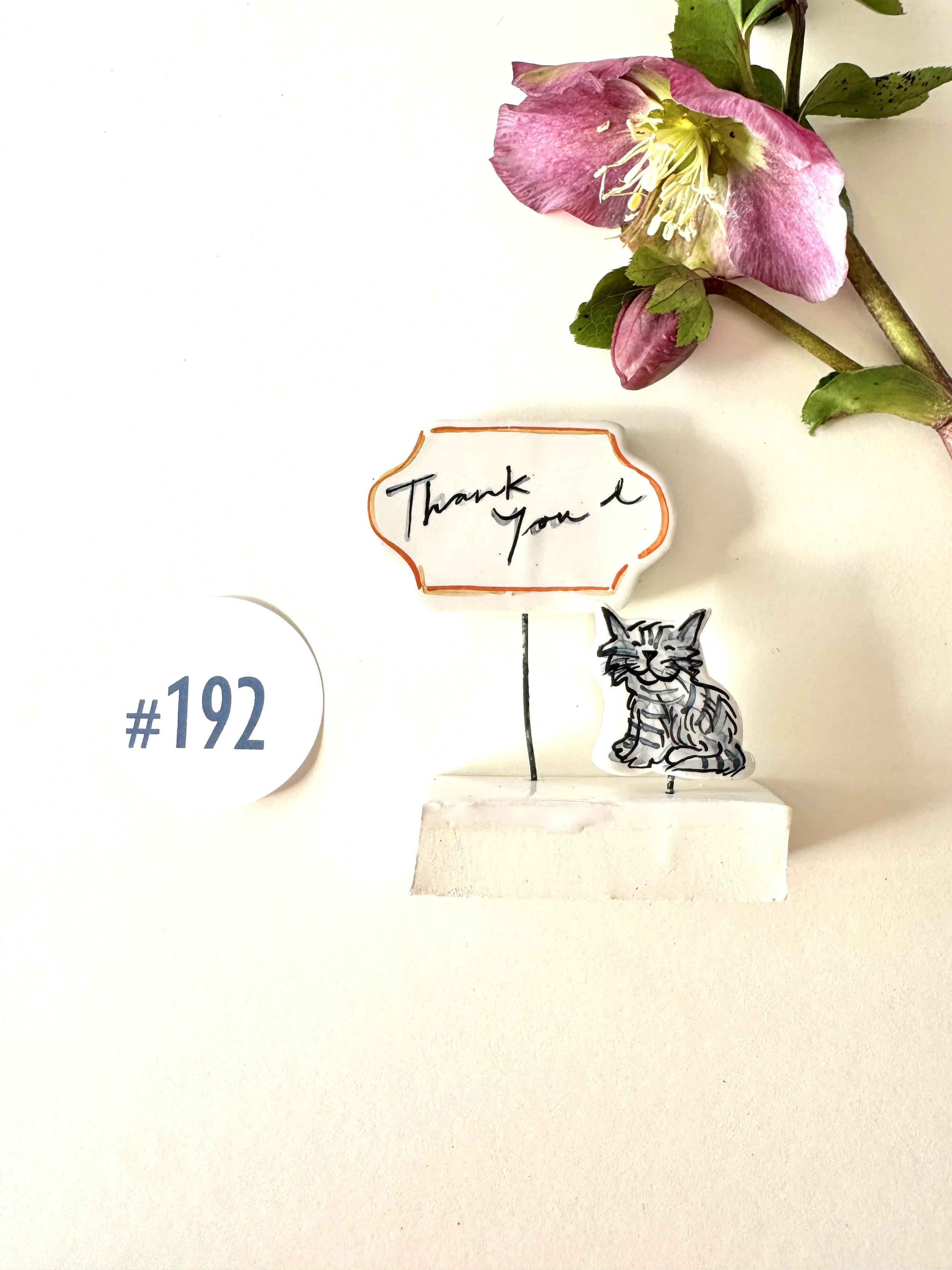 #192 Thank You Grey Cat