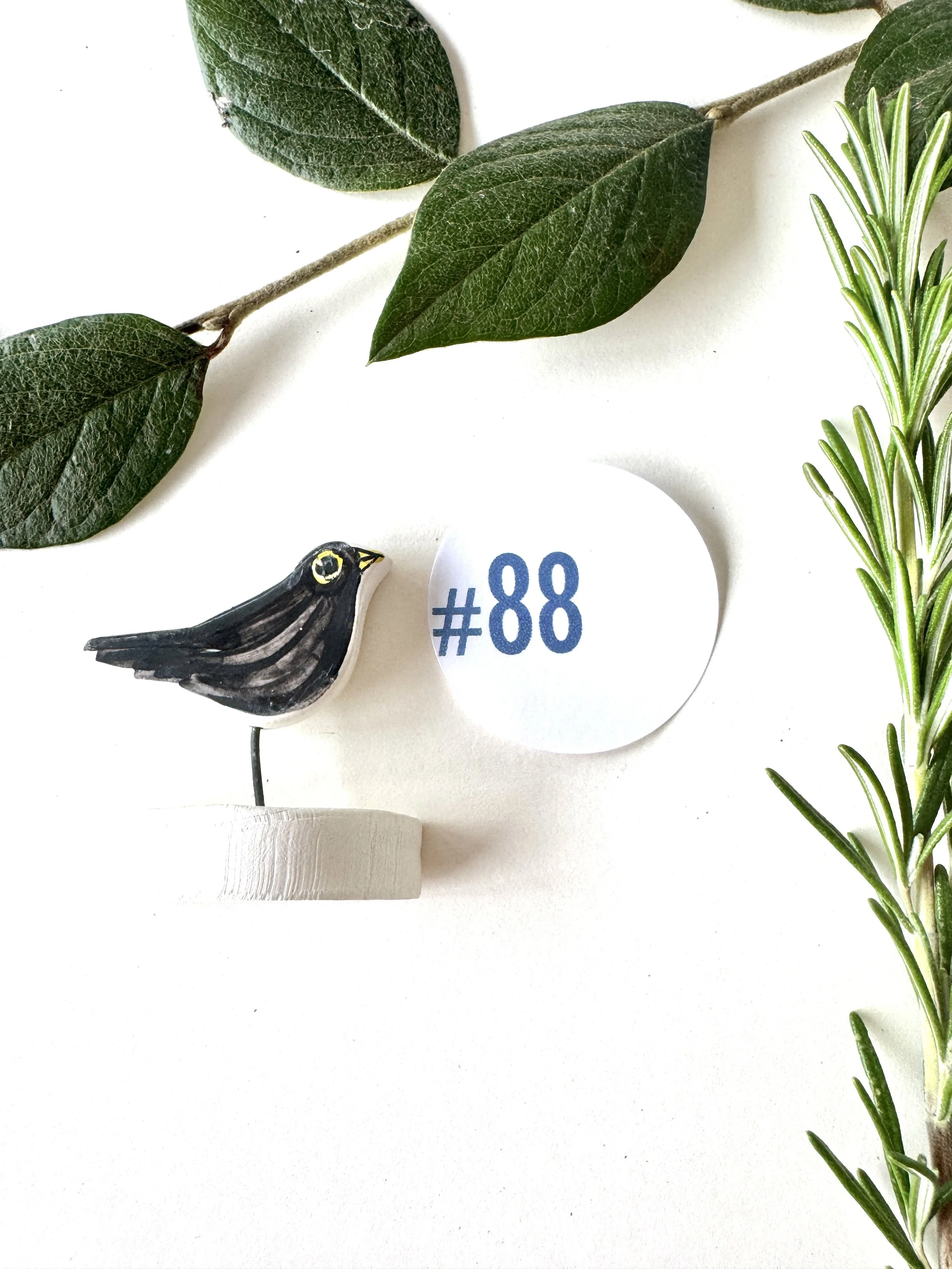 #88 Tiny Blackbird