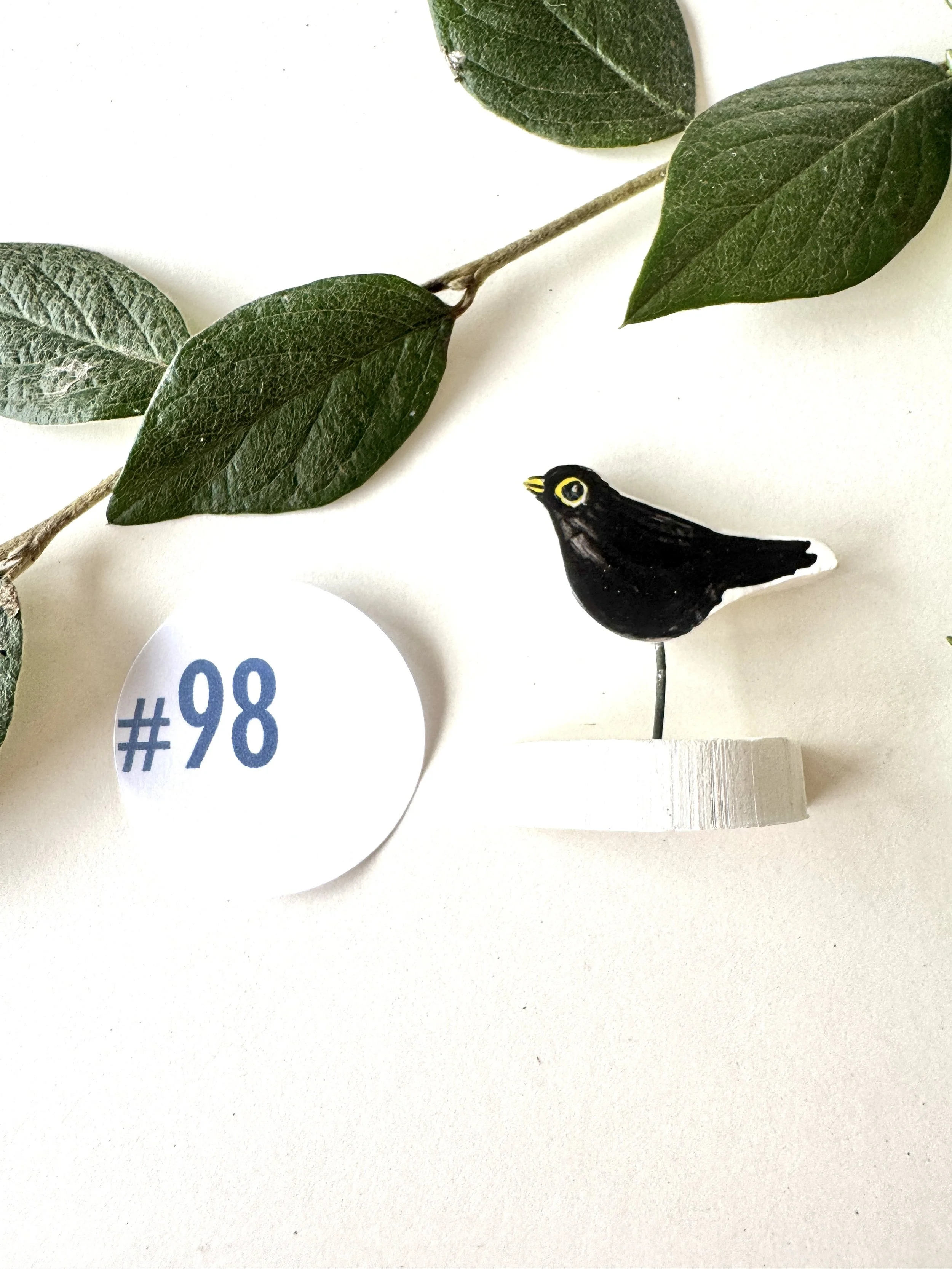 #98 Tiny Blackbird