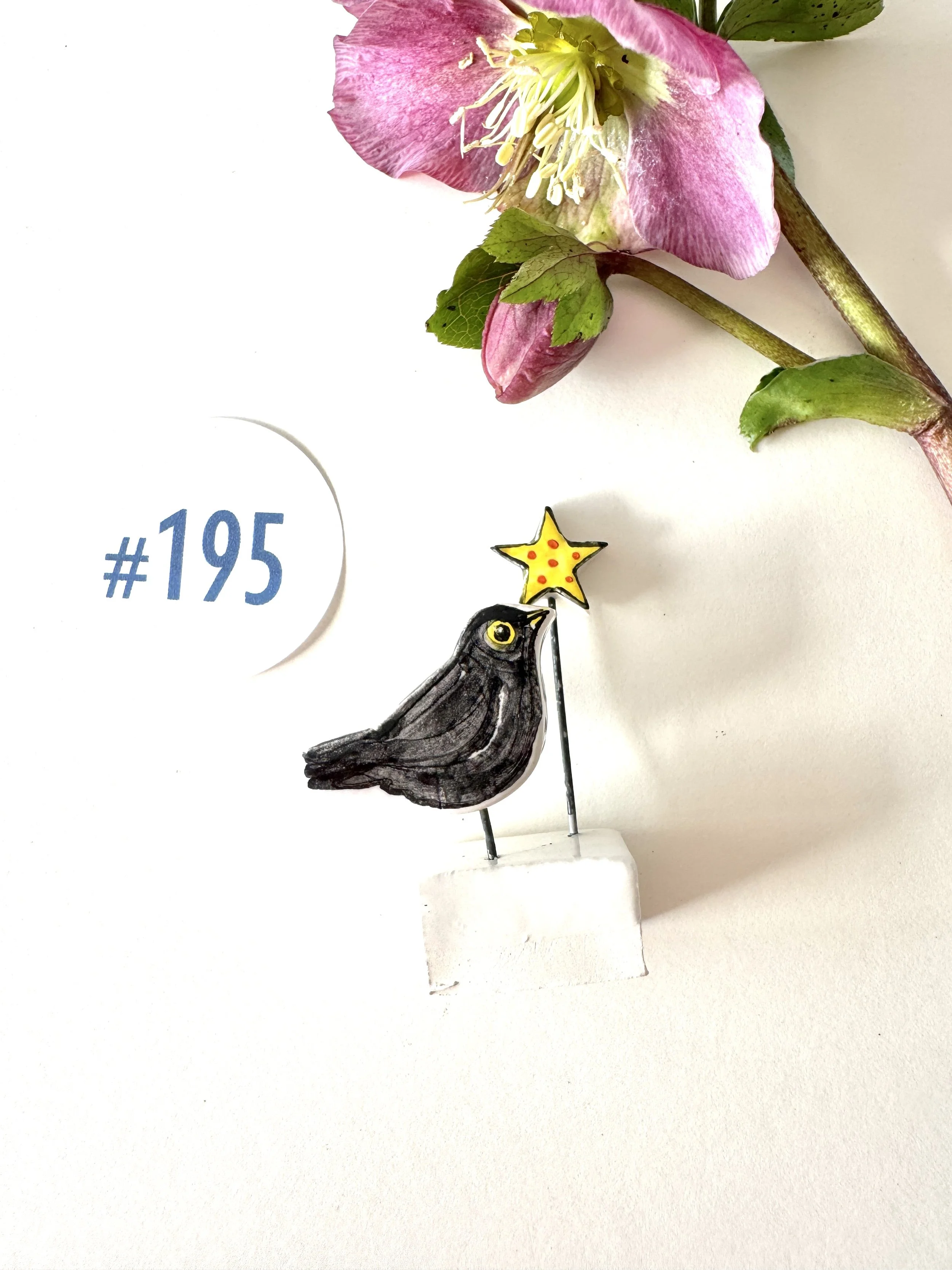 #195 Blackbird With Star