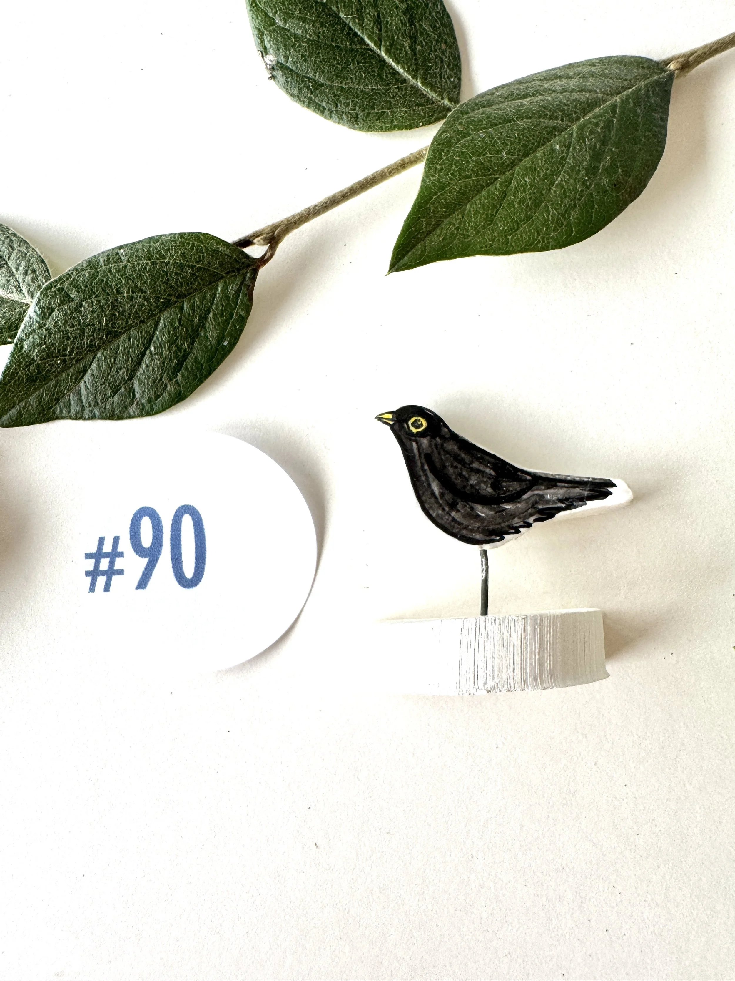 #90 Tiny Blackbird