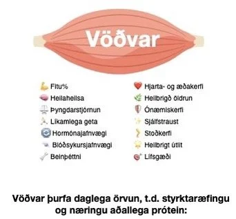Vöðvar eru þinn lífeyrissjóður!