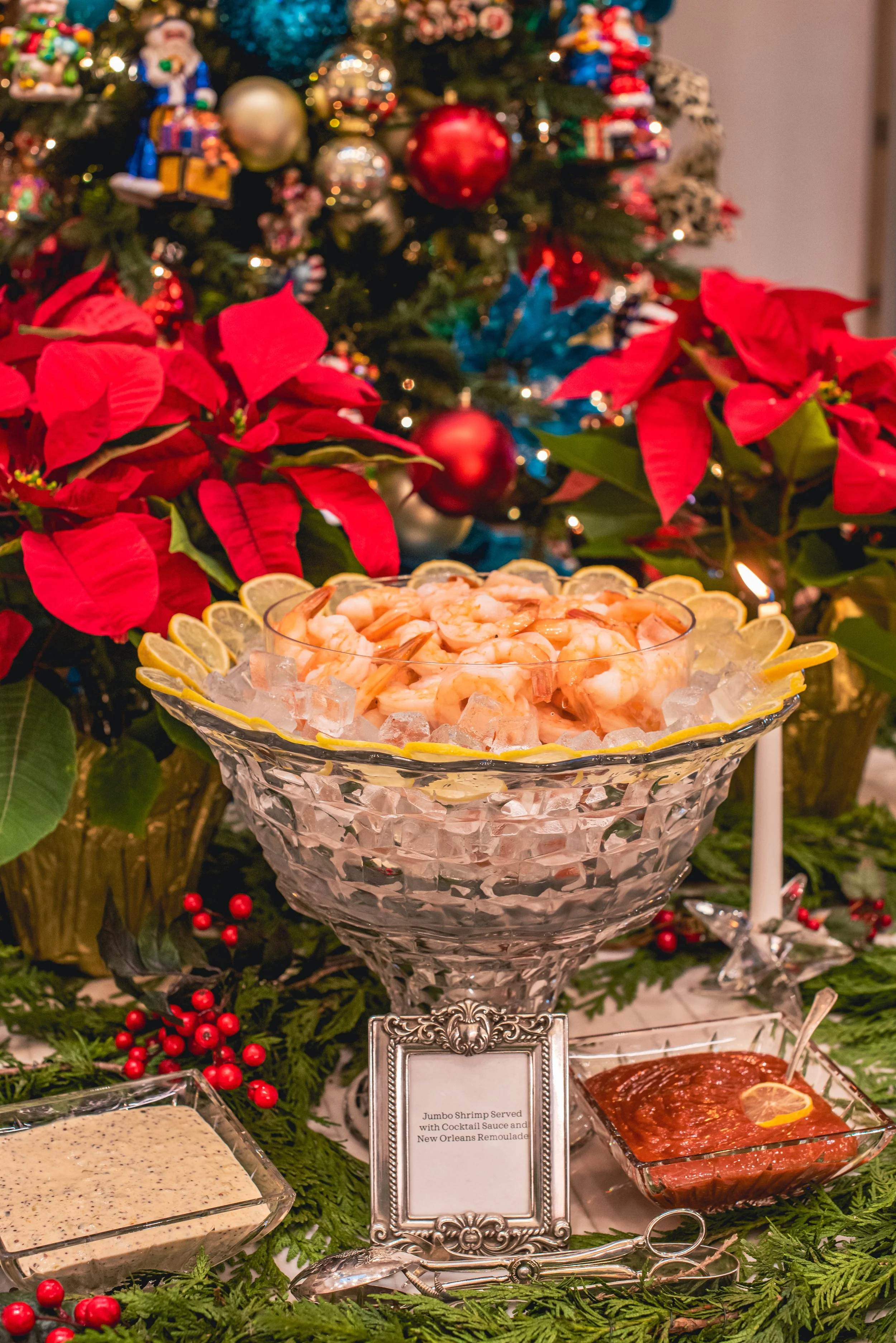 Holiday Political FundRaising Event Heavy Hor d’oeuvres for 150