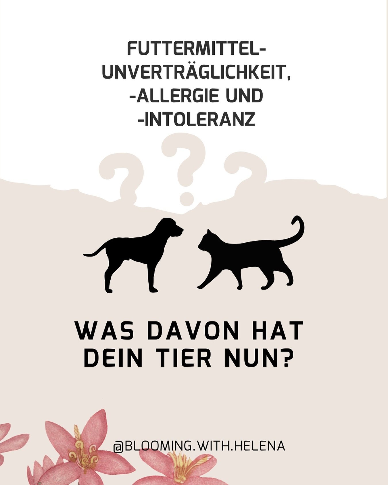 😩 Juckreiz, Erbrechen und Unruhe nach Futteraufnahme, h&auml;ufiger Kotabsatz, schleimiger Kot, Bl&auml;hungen, entz&uuml;ndete Haut. Kennst du das von deinem Tier❓

💬 Hinterlasse mir einen Kommentar, wenn dein Hund oder deine Katze mit einem oder 