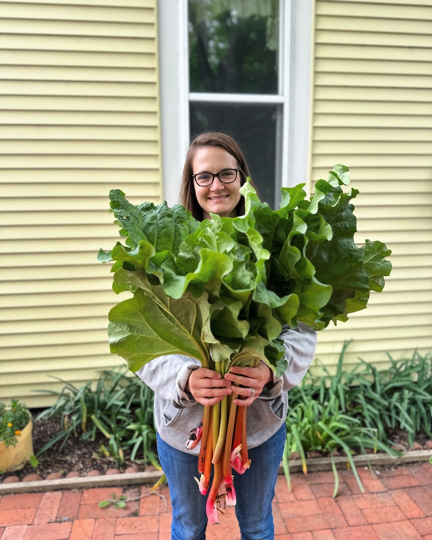 Chef Michelle harvesting home-grown Rhubarb for a new dessert tonight! Rhubarb is one of our favorite spring ingredients because of its versatility in both sweet + savory dishes. 

Reservations for the week are filling up, so head to Google to see wh