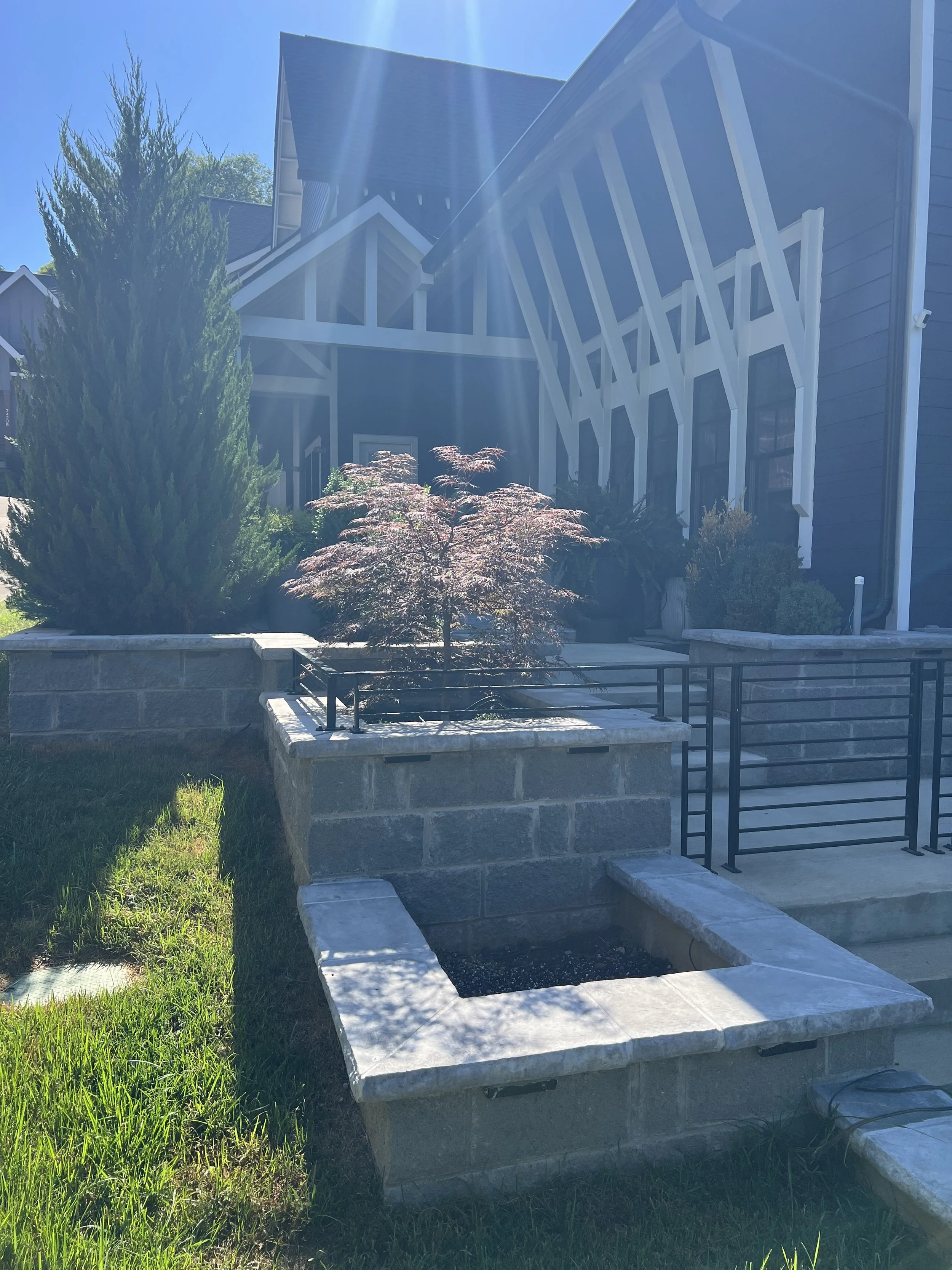 Backyard with landscaping features a young tree, large shrub, and a stone planter with steps and black metal railings leading to a screened porch attached to a house. Bright sunlight rays create a lens flare effect.