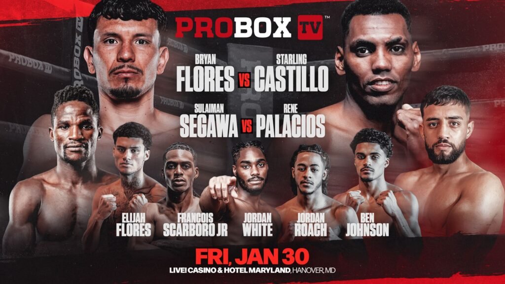 ProboxTV (YT): Flores-Castillo