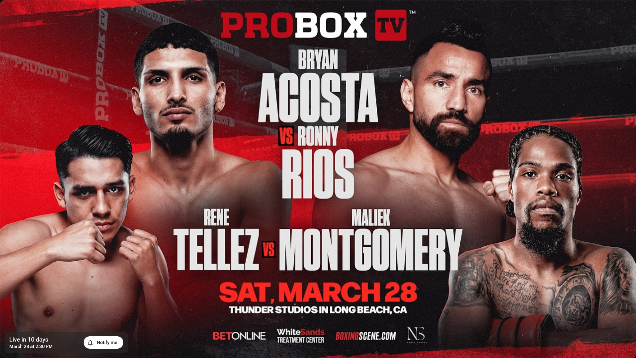 ProBoxTV (YT): Acosta-Rios