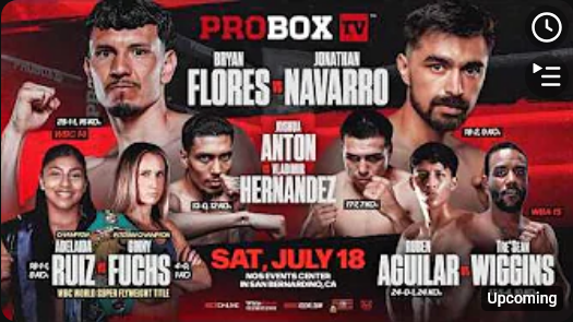 ProBoxTV (YT): Flores-Navarro