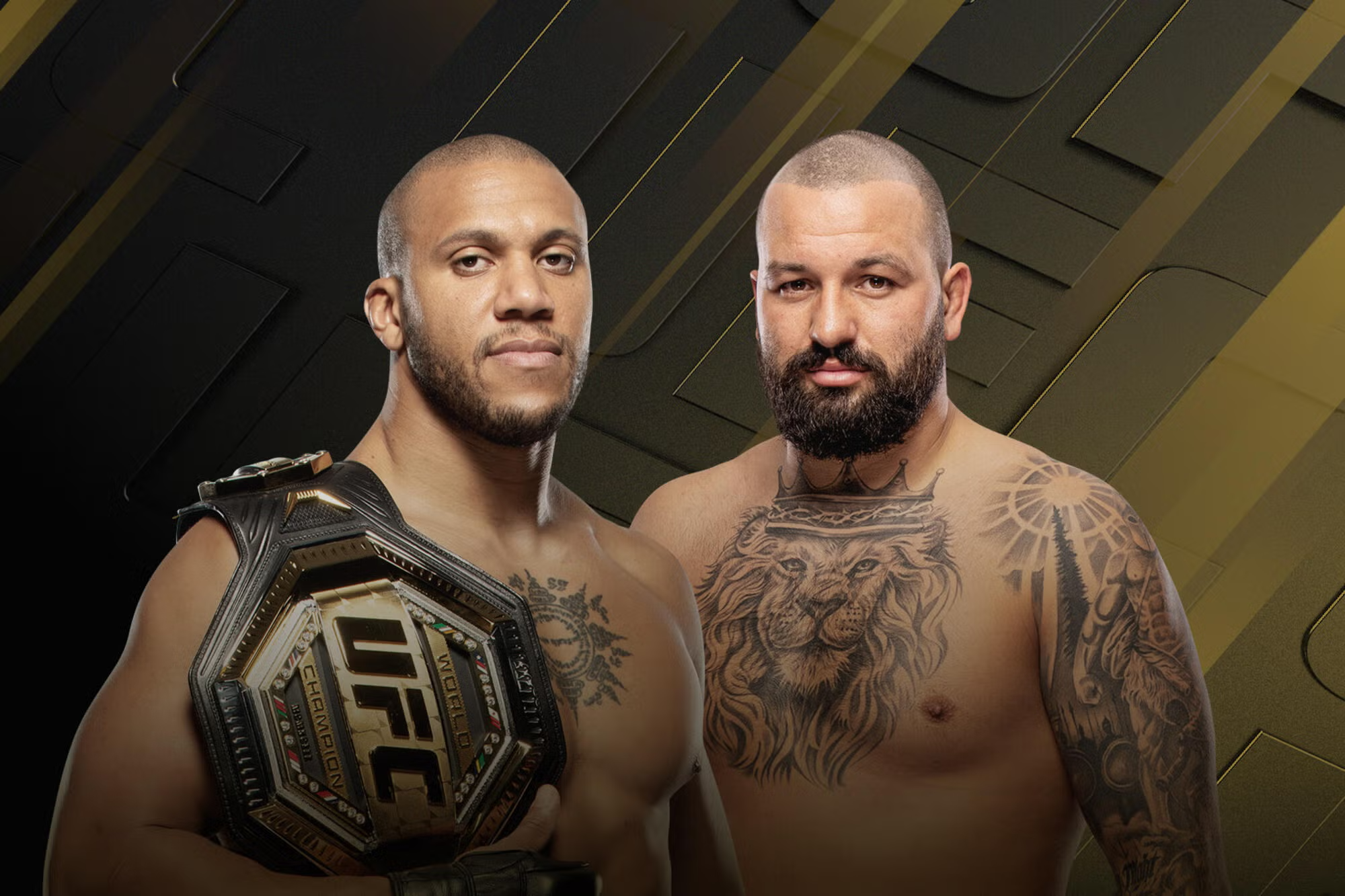 UFC 334