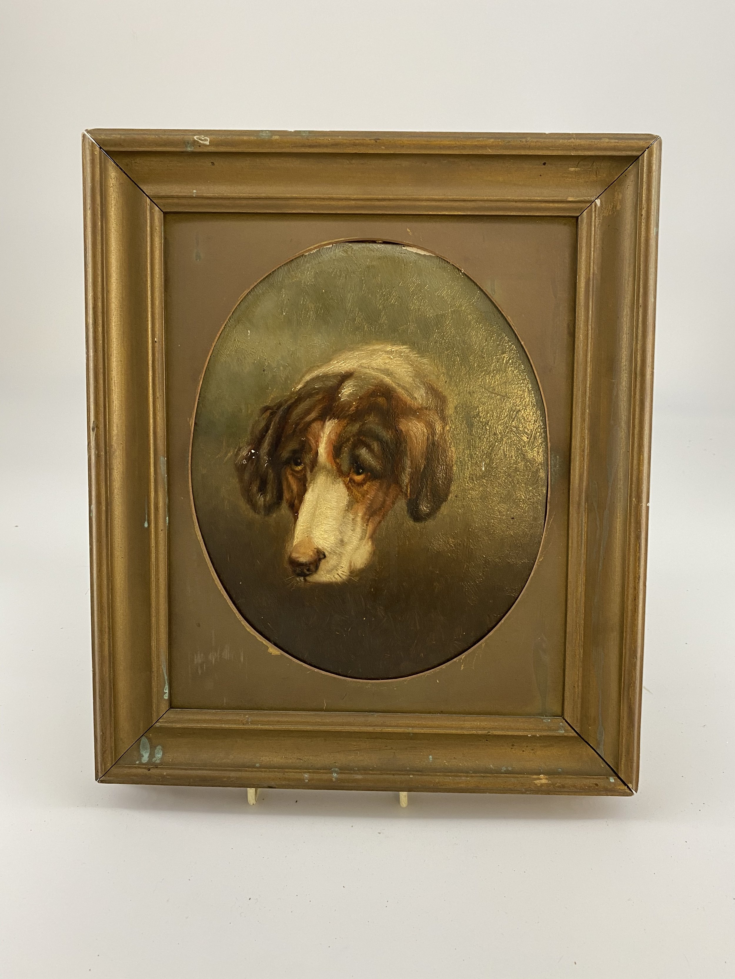 Oil of Dog