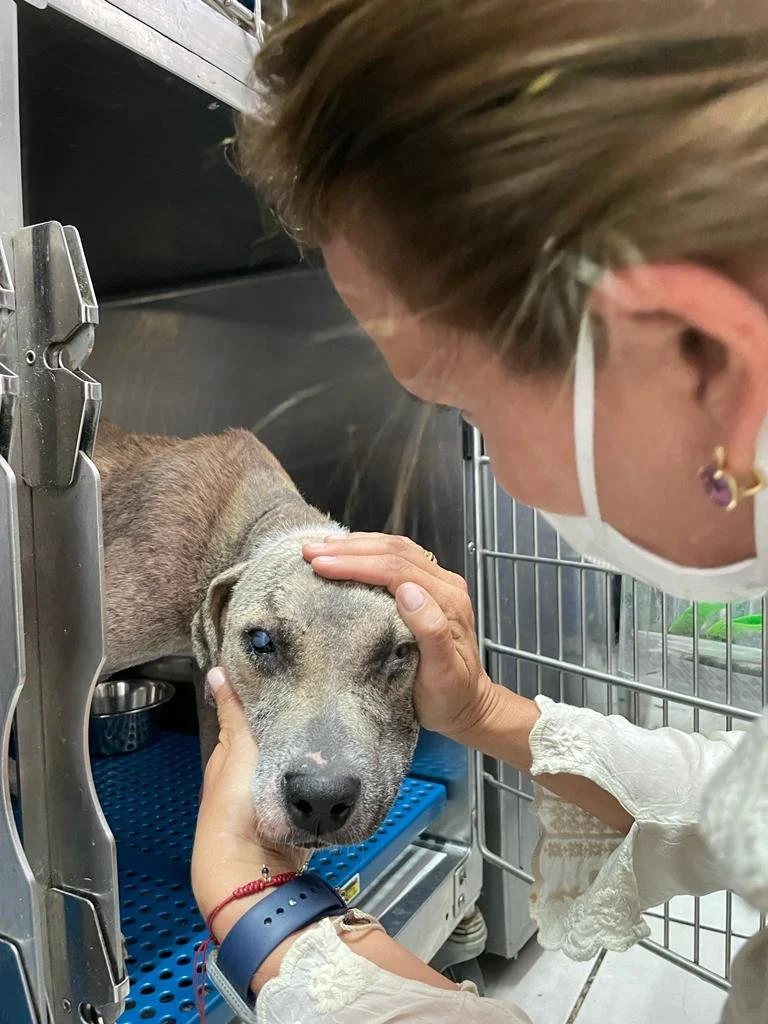 WhatsApp Image 2023-02-17 at 14.10.09 (1).jpeg