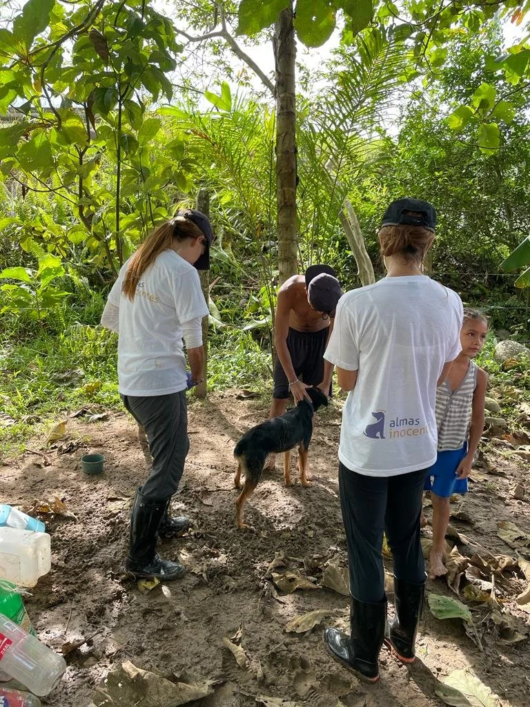 WhatsApp Image 2023-02-23 at 07.34.20 (7).jpeg