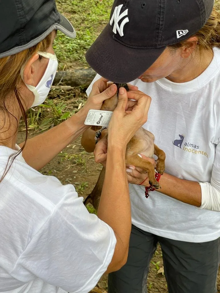 WhatsApp Image 2023-02-23 at 07.34.20 (8).jpeg