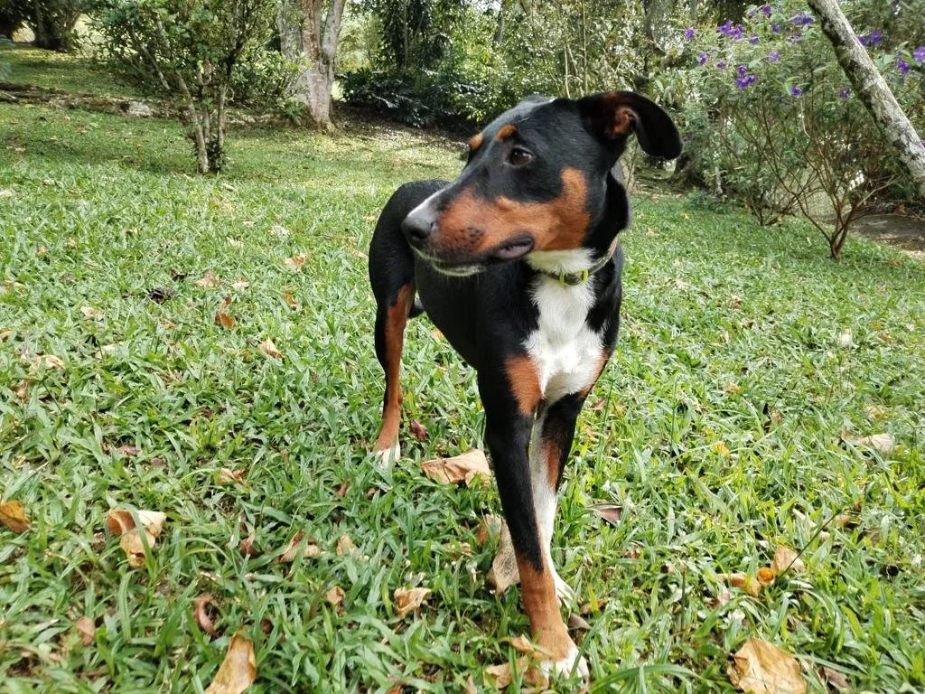 WhatsApp Image 2023-02-17 at 15.21.38 (7).jpeg