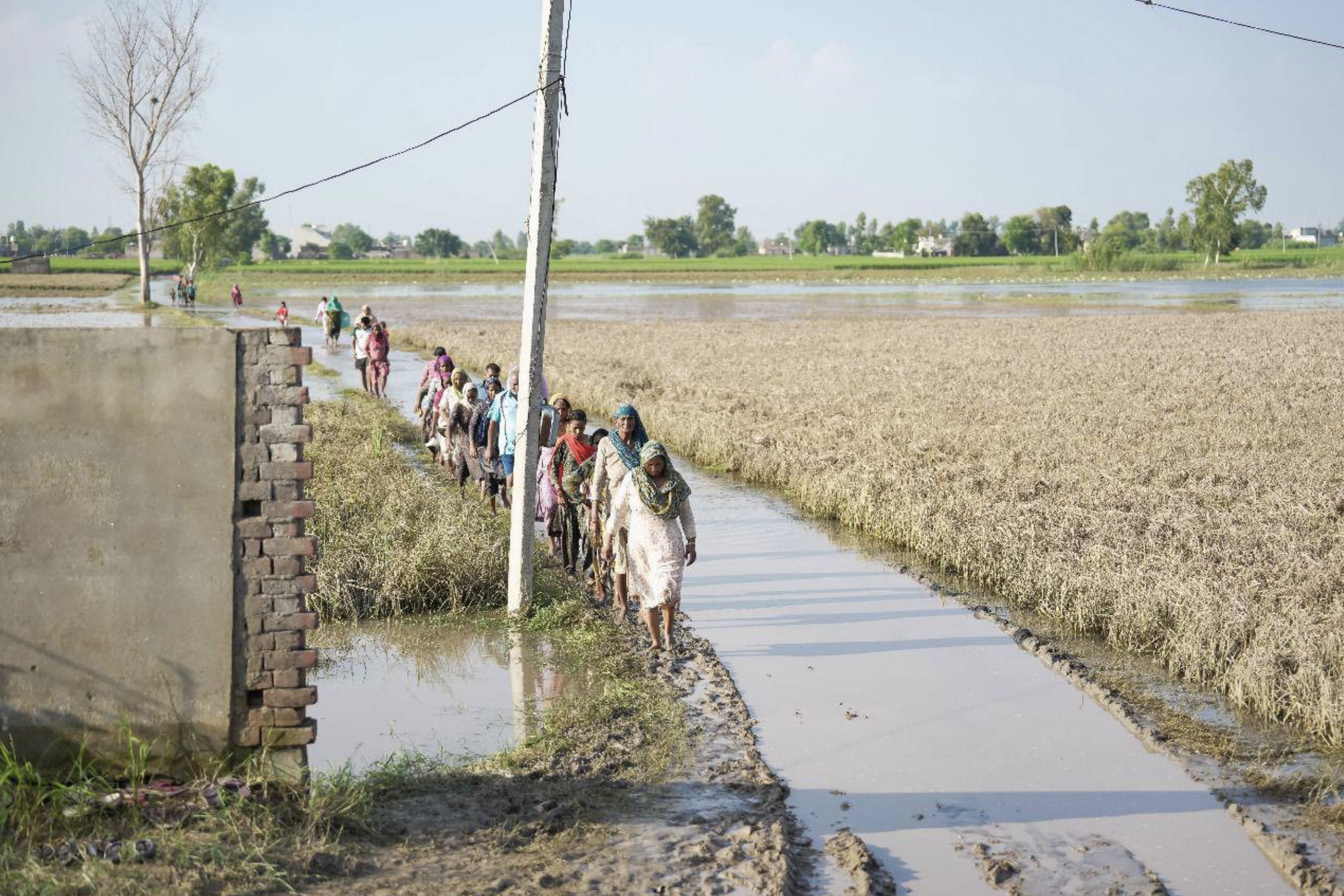 Screen Shot 2026-03-05 at 11.05.22 AM.png