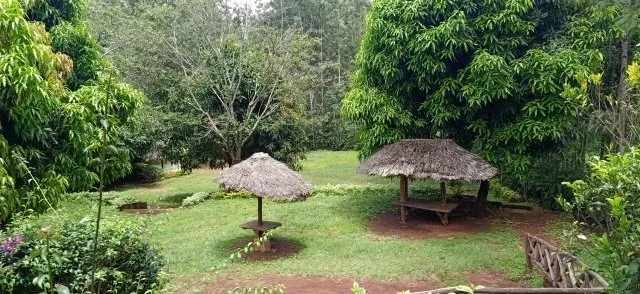 kenya1.jpg