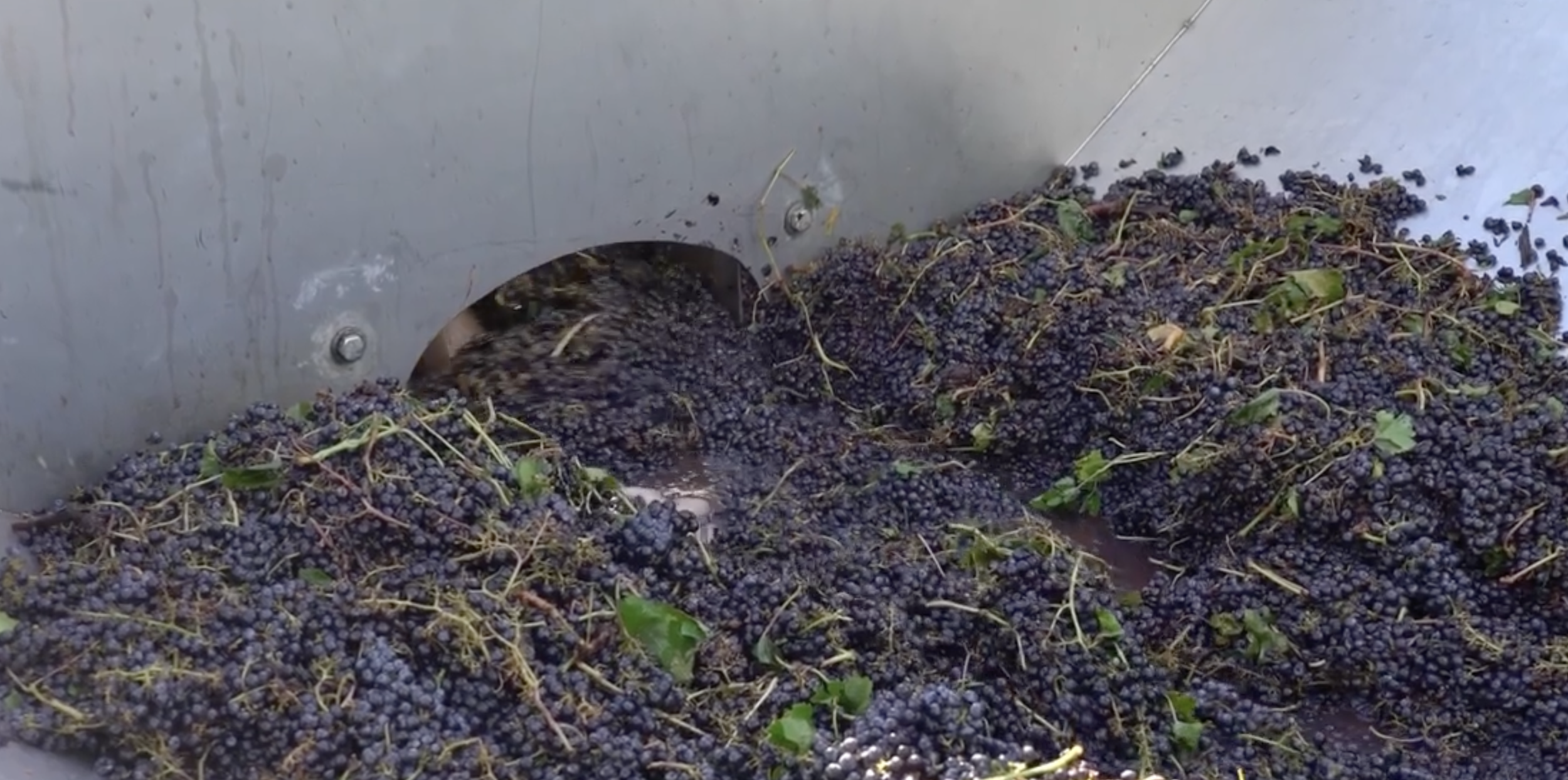 Screen Shot 2023-08-03 at 2.11.42 PM.png