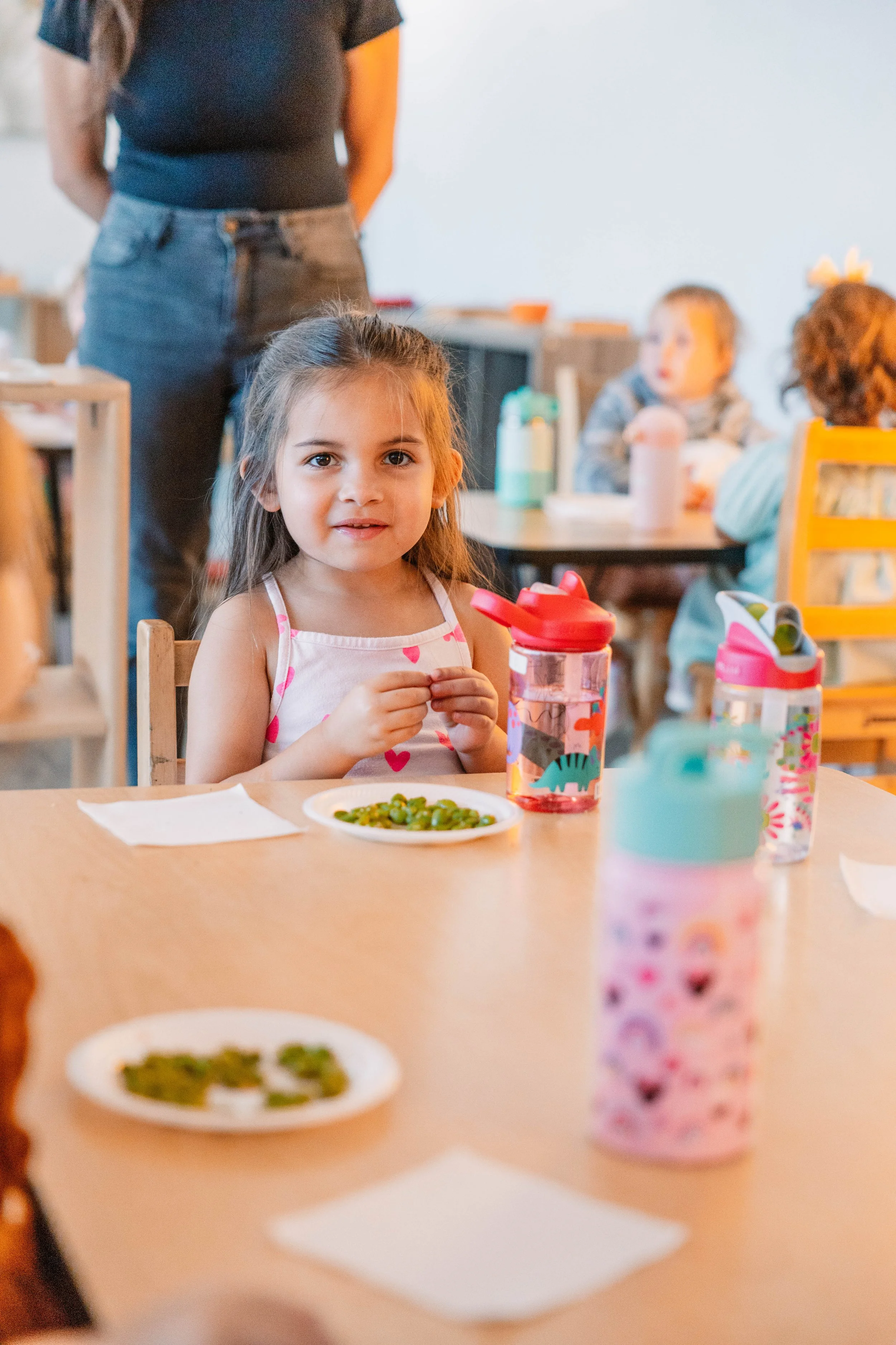 The Hills Montessori of Omaha