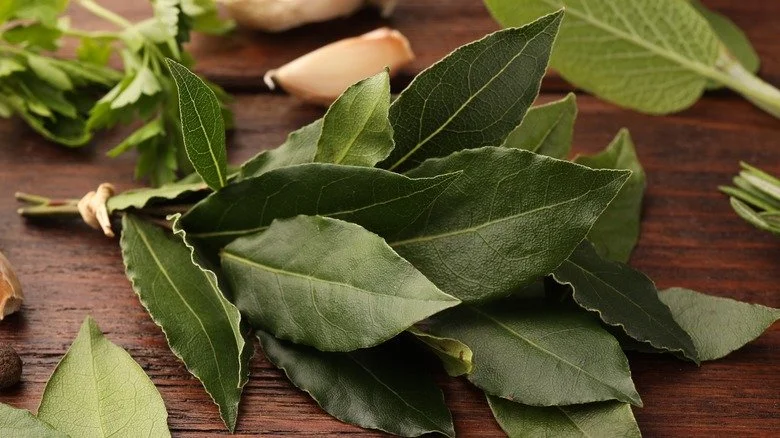 🌿 The Healing Power of Bay Leaves