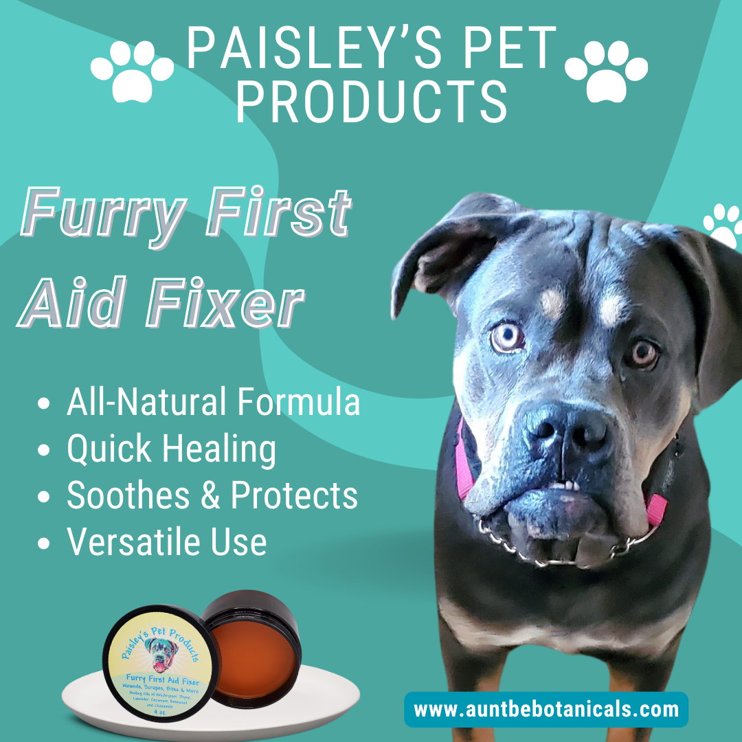 All Natural Homemade Pet Safe Wound, Scar and Bite Healer for Dogs by Aunt Be Botanicals