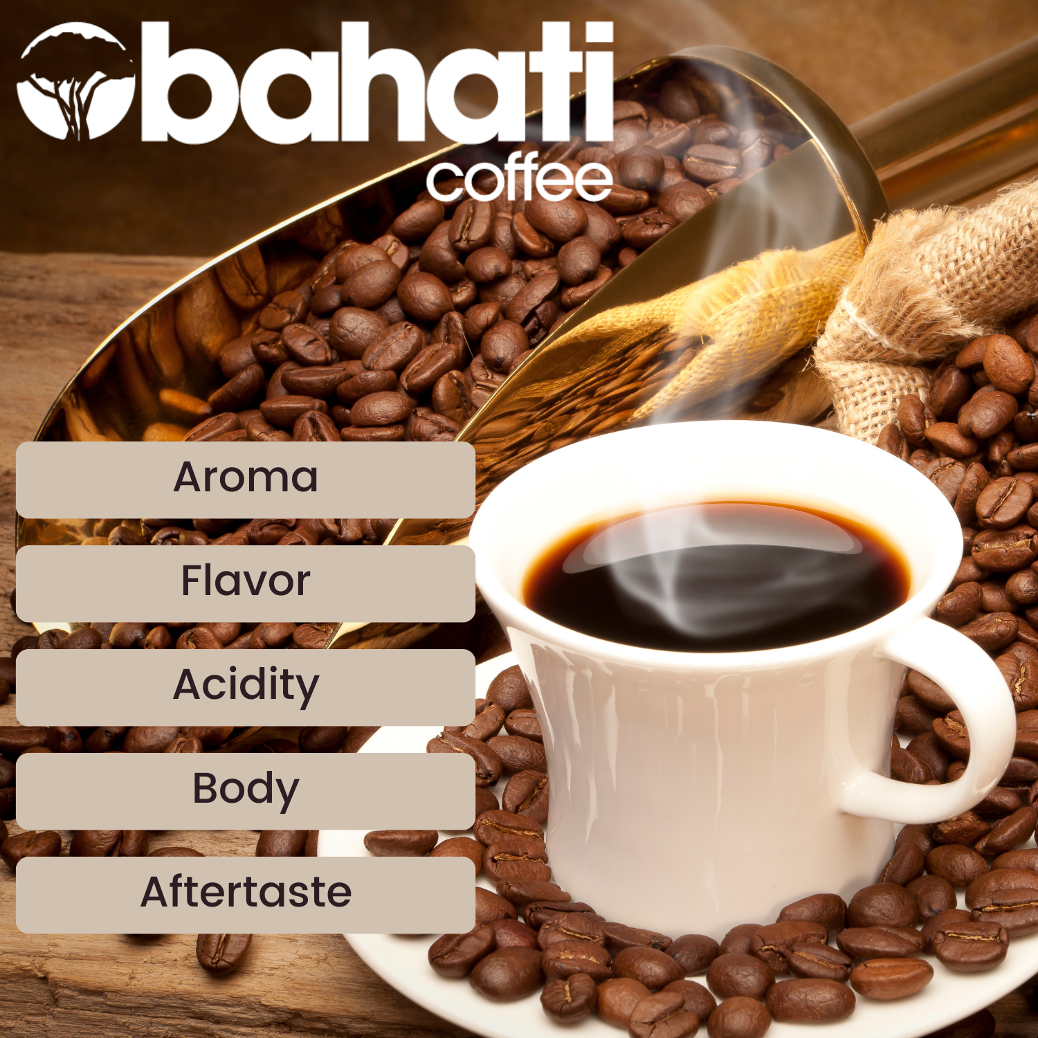 Coffee Bean LIfe Style Images-2.png