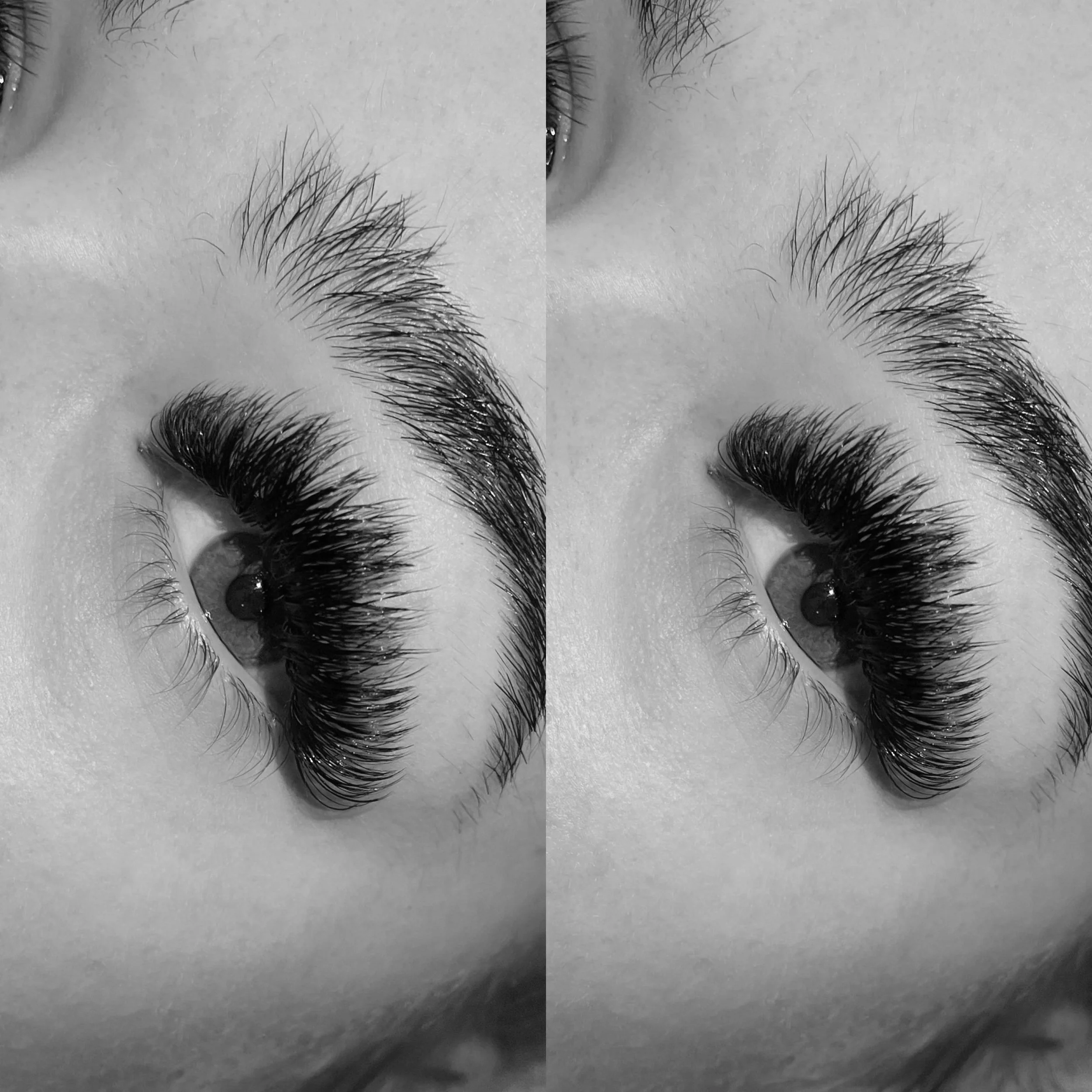 Lash Extensions