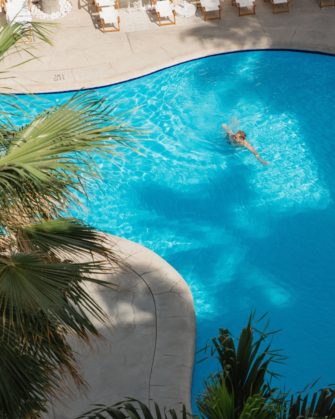 Dive into paradise at our chic poolside oasis under the Baja sun.
~
~
~
~
#endlesssummer #bahiahotel #bahiacabo #boutiquehotel #summertime #poolside #poolday #swim #summer #donotdisturb #cabo #baja