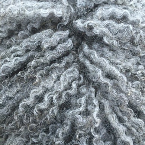 Raw Fleece