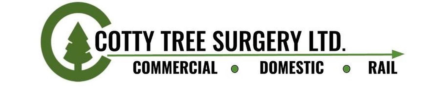 Cotty tree surgery