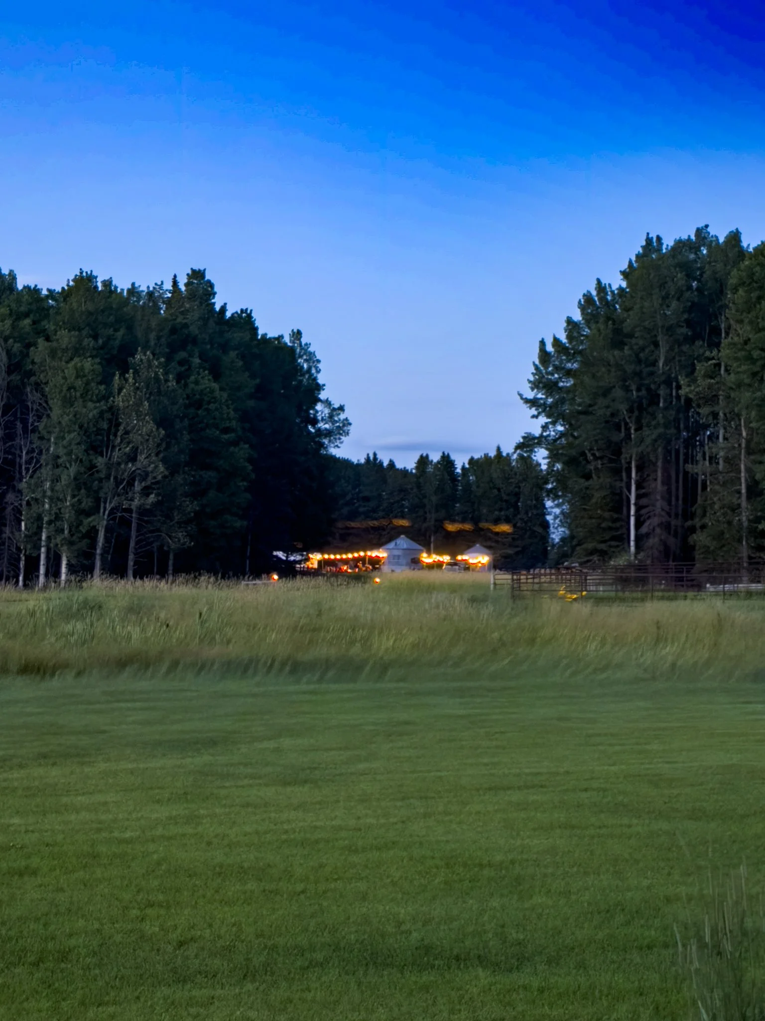 evening event with string lighting 
