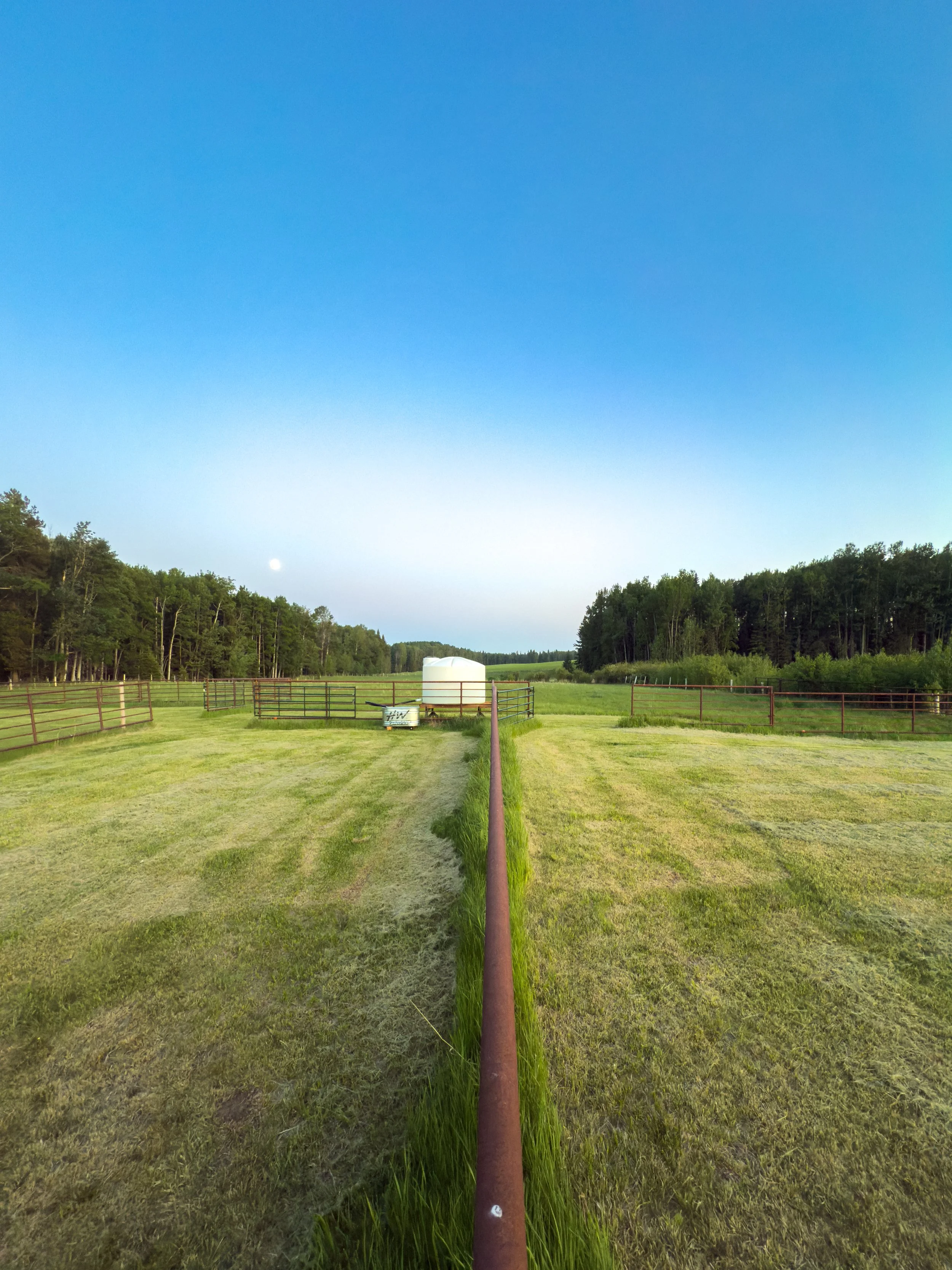 two horse pens with water, green grass and sunset sky with moon
