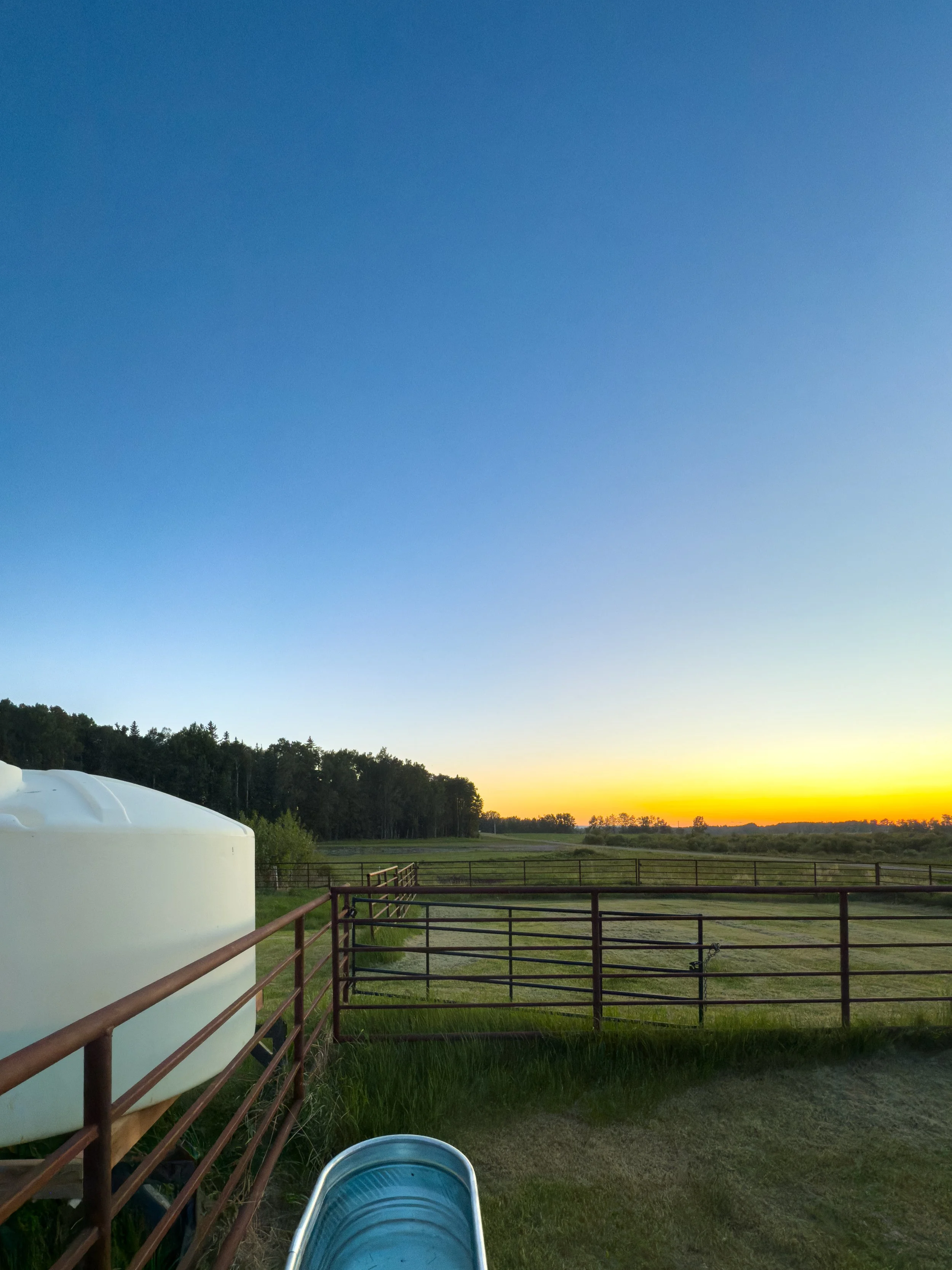 two horse pens with water at sunset