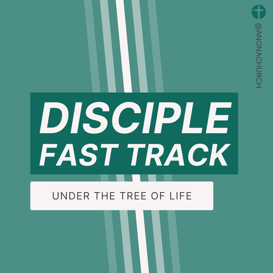 Disciple IV Class