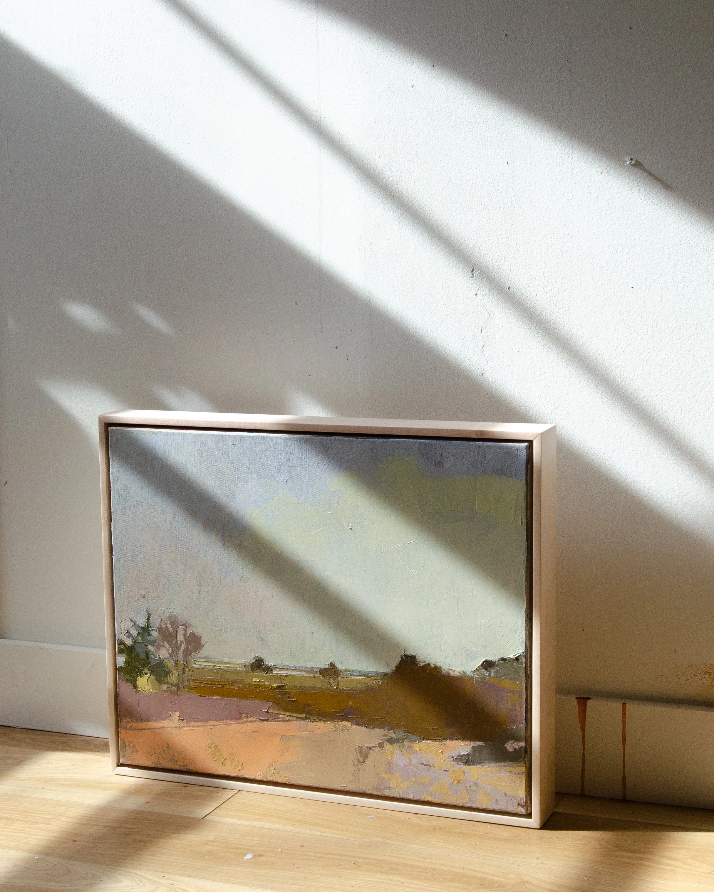 Terrestrial in light.jpg