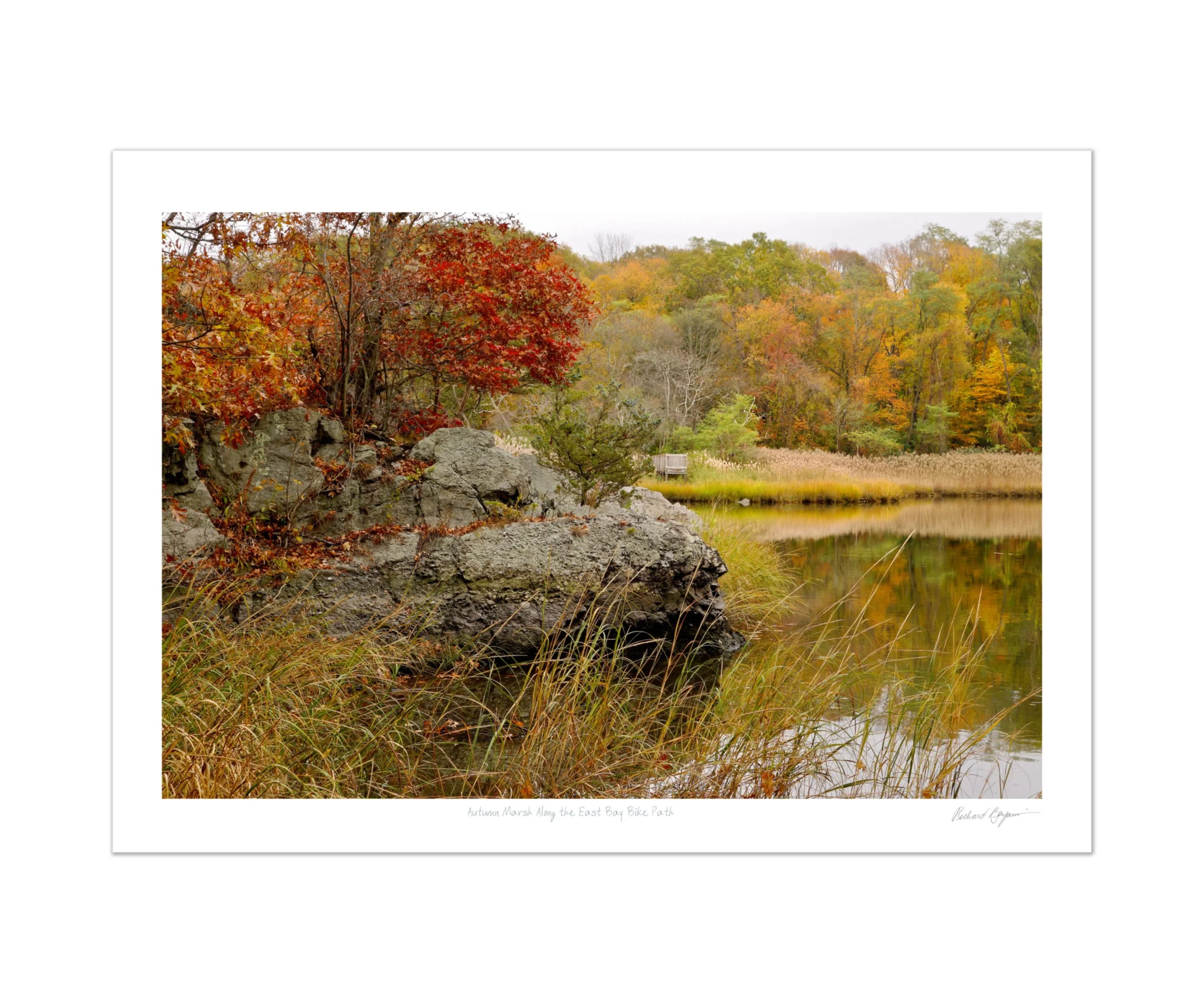 Richard Benjamin, "Autumn Marsh Along the East Bay Bike Path"