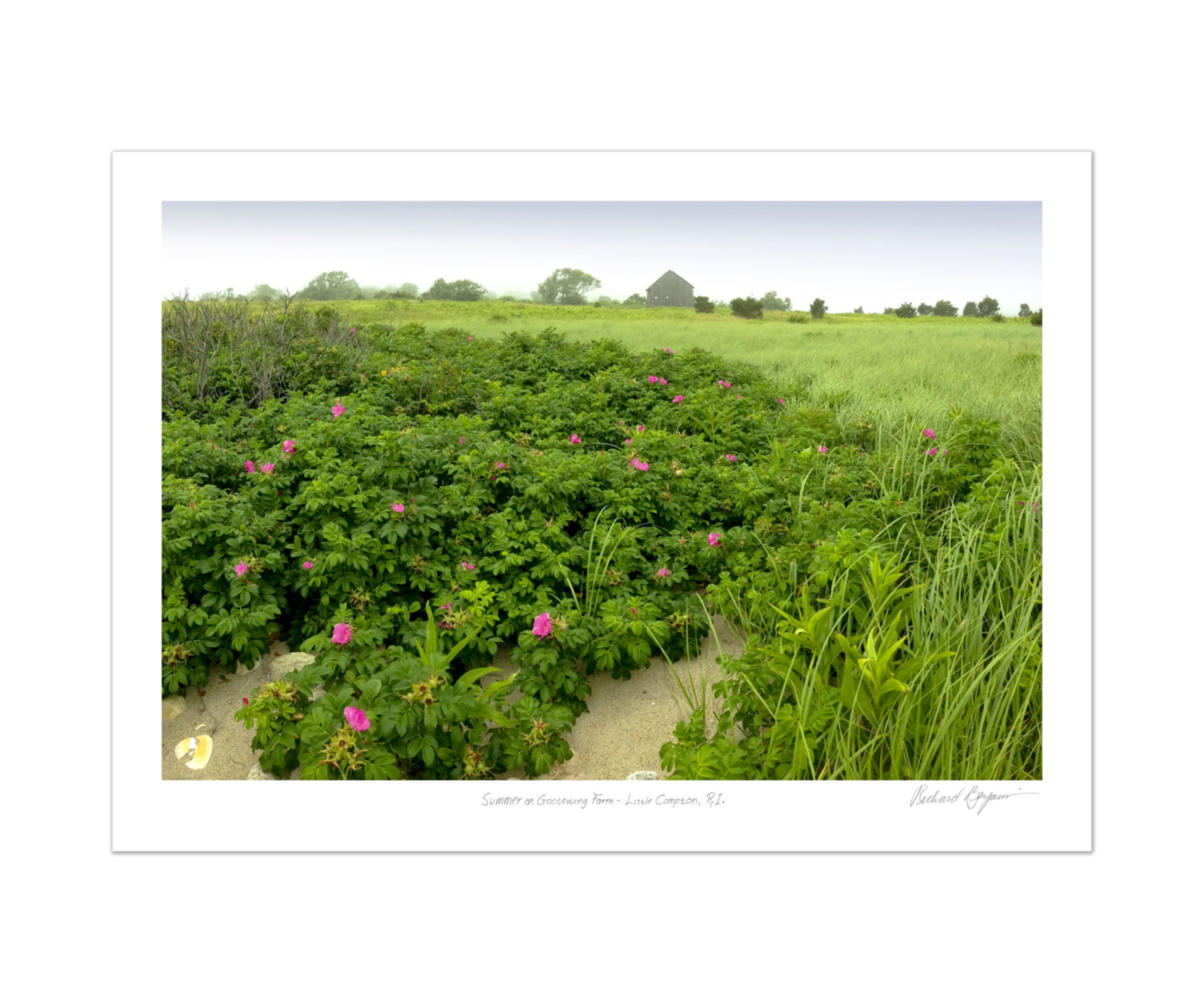 Richard Benjamin, "Summer at Goosewing Farm - Little Compton, RI"