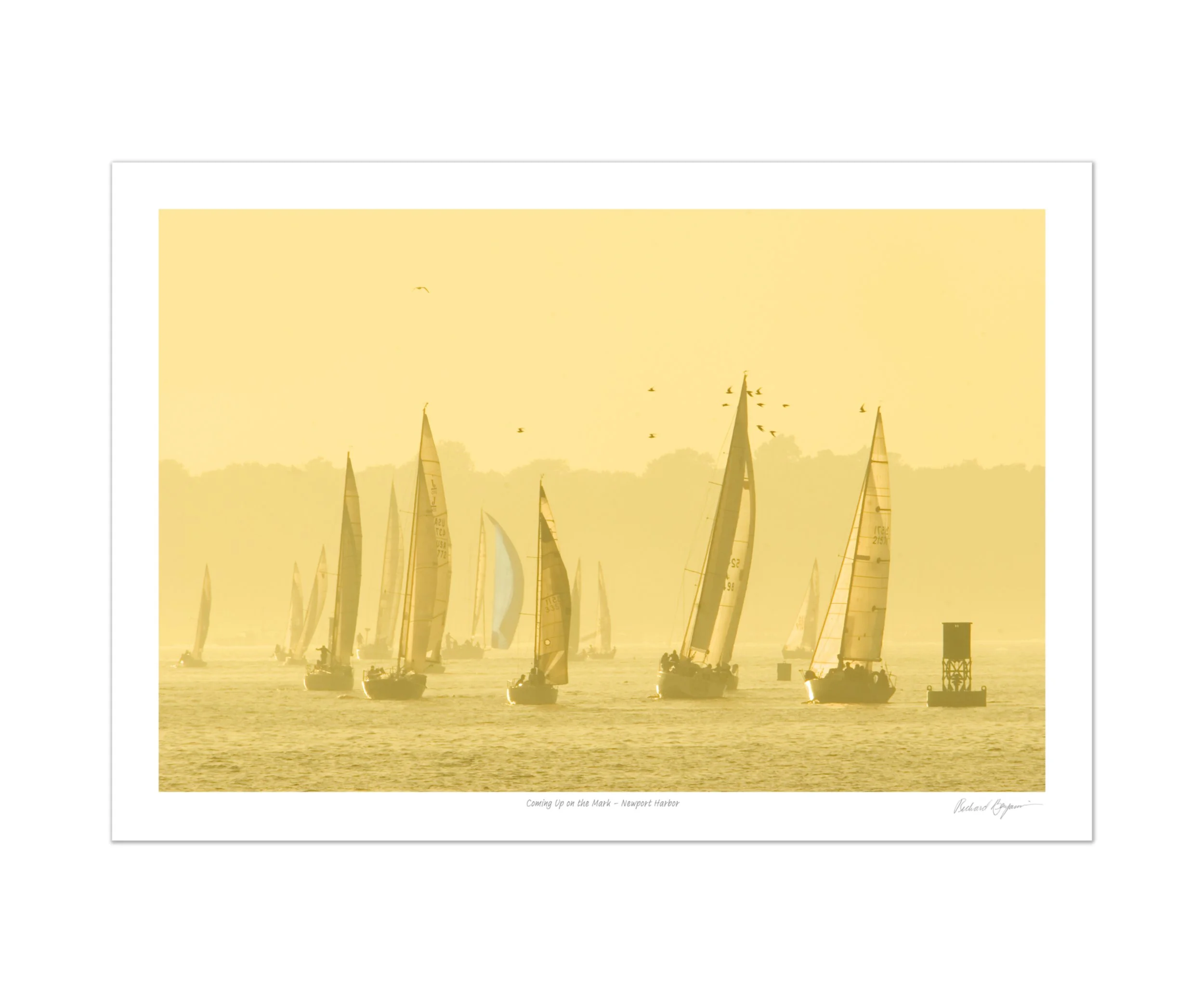 2H6144-Coming-up-on-the-mark_.jpg