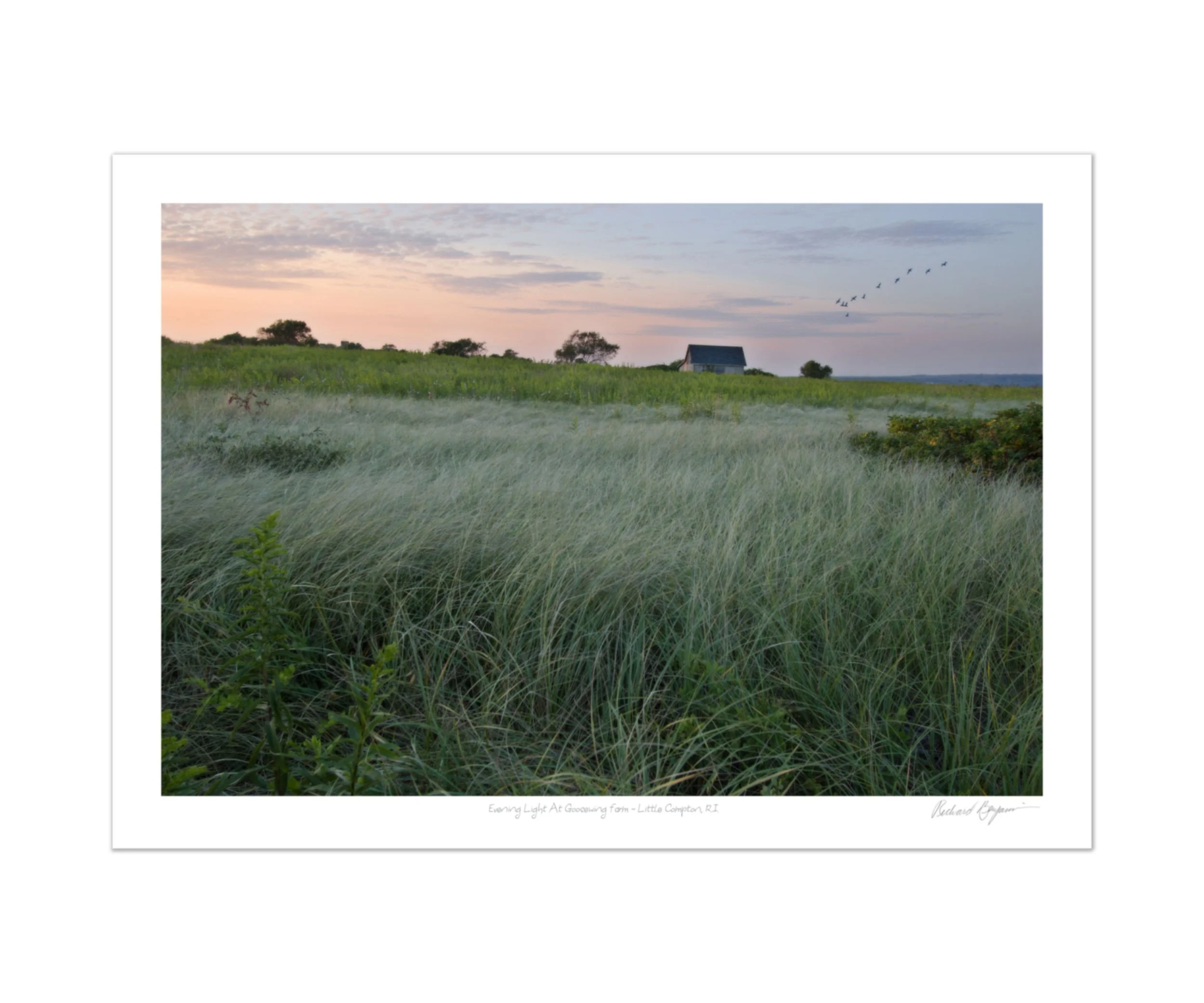 Richard Benjamin, "Evening Light at Goosewing Farm - Little Compton, RI"