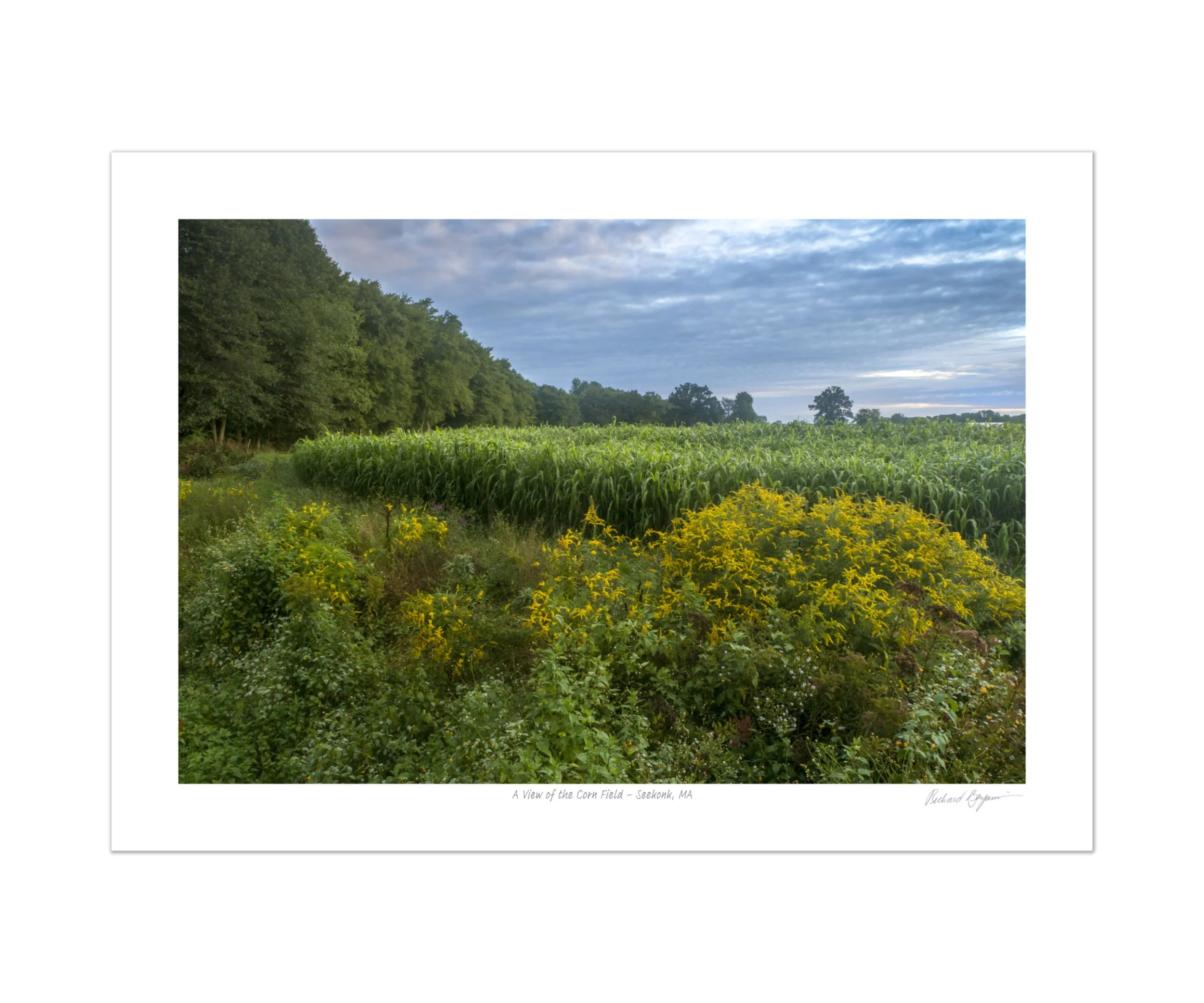 Richard Benjamin, "A View of the Corn Field - Seekonk, MA"