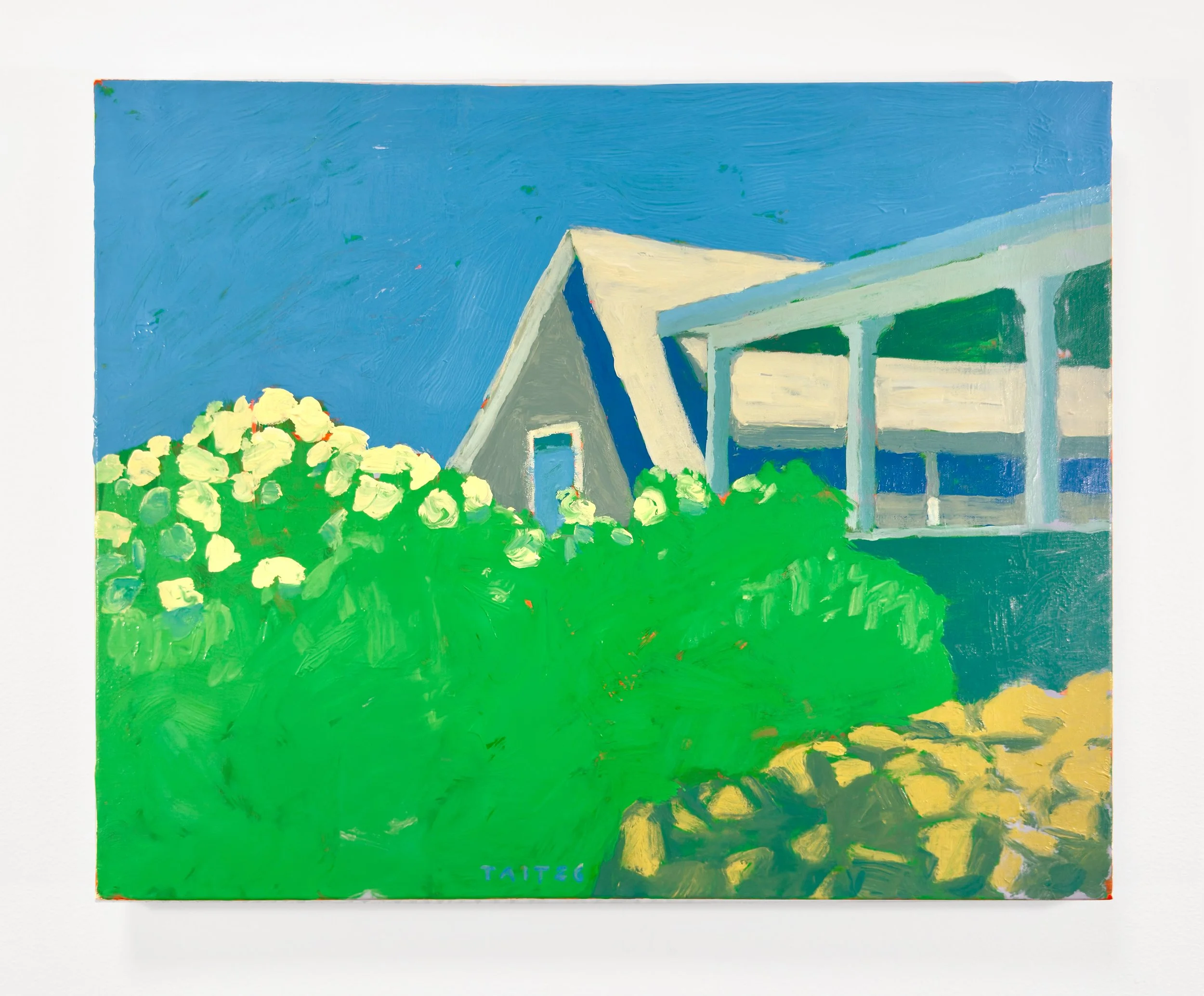 Hydrangeas-BI-painting-Tim-Tait-2026.jpg