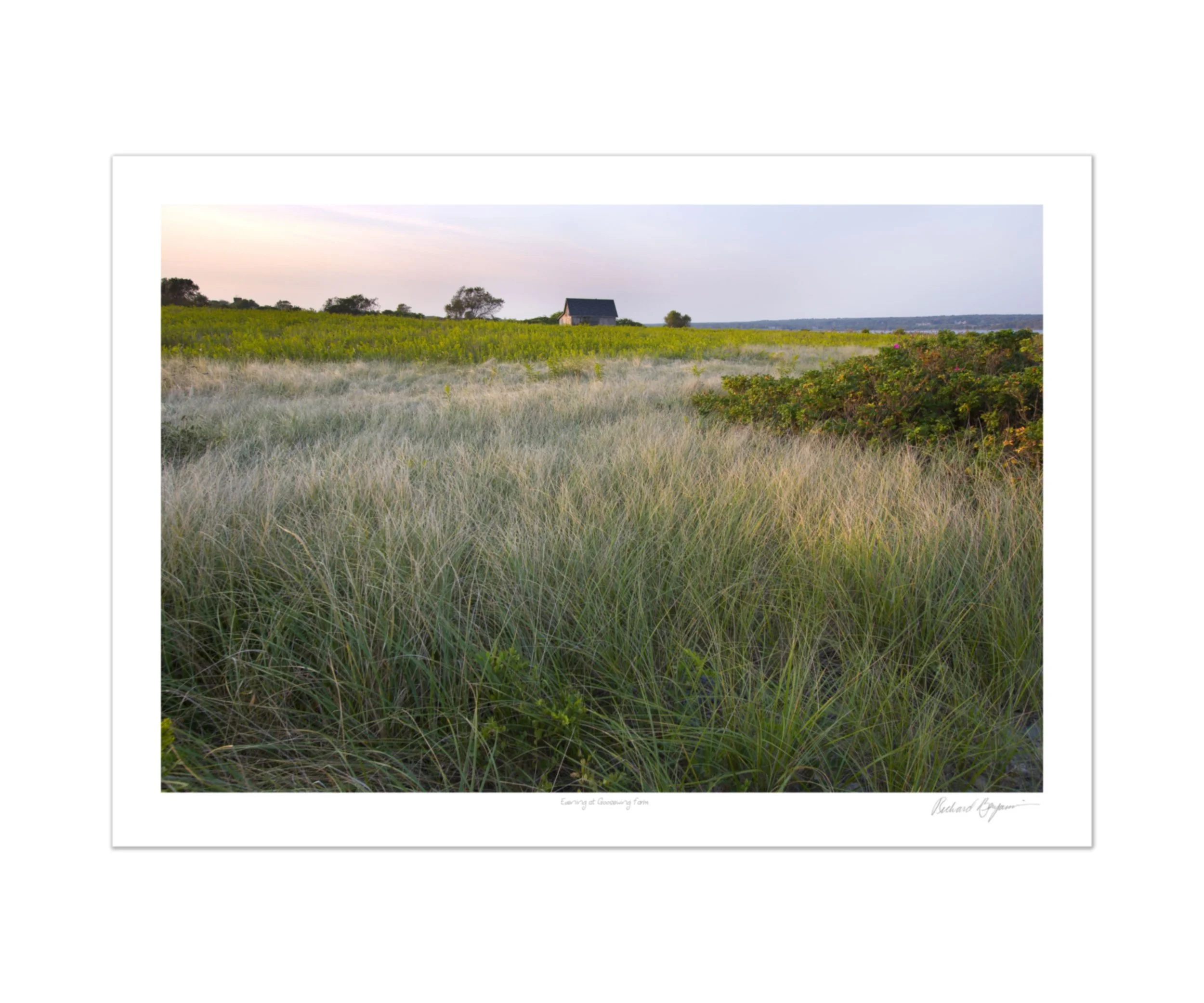 Richard Benjamin, "Evening at Goosewing Farm"