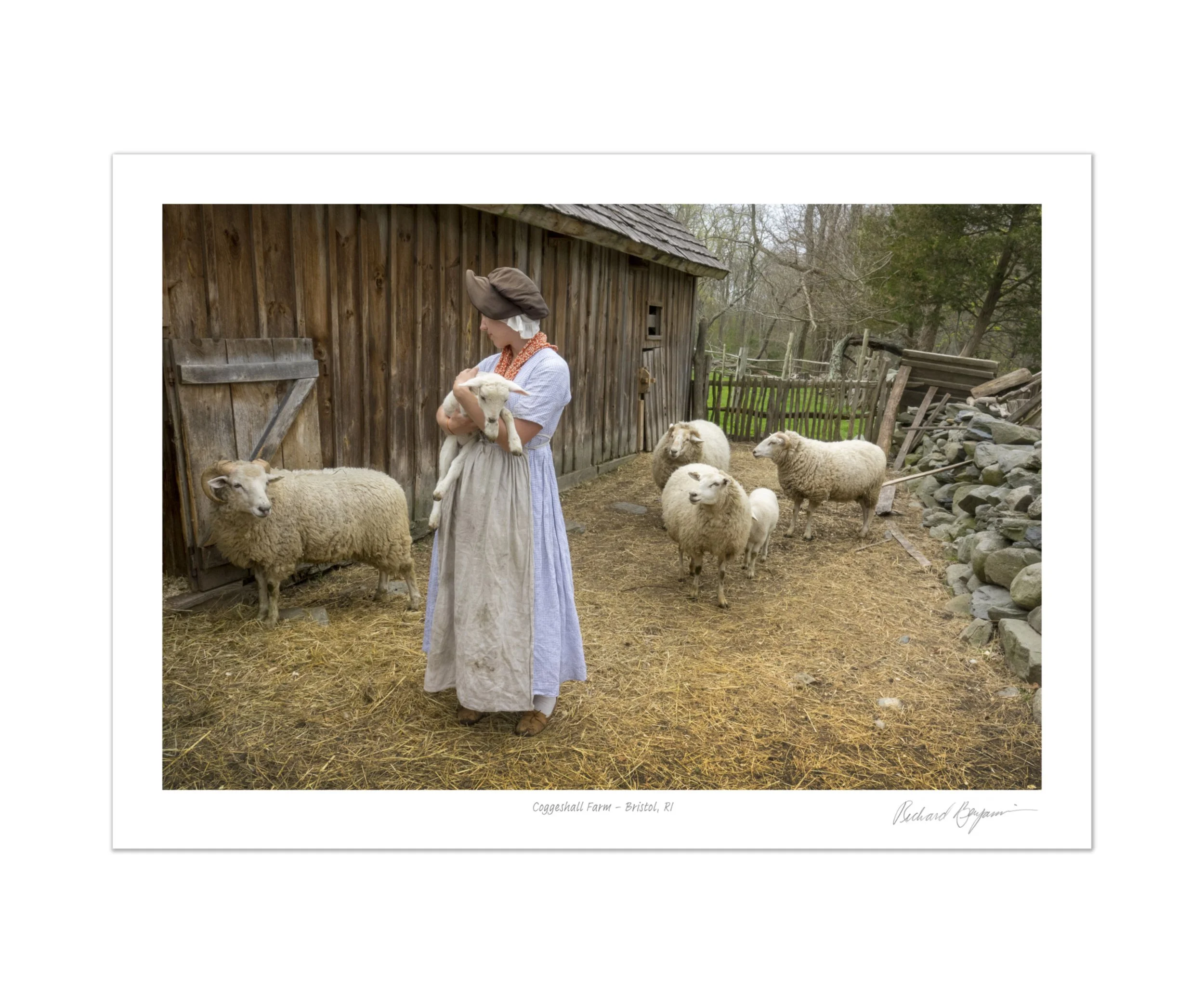 Richard Benjamin, "Coggeshall Farm - Bristol, RI"