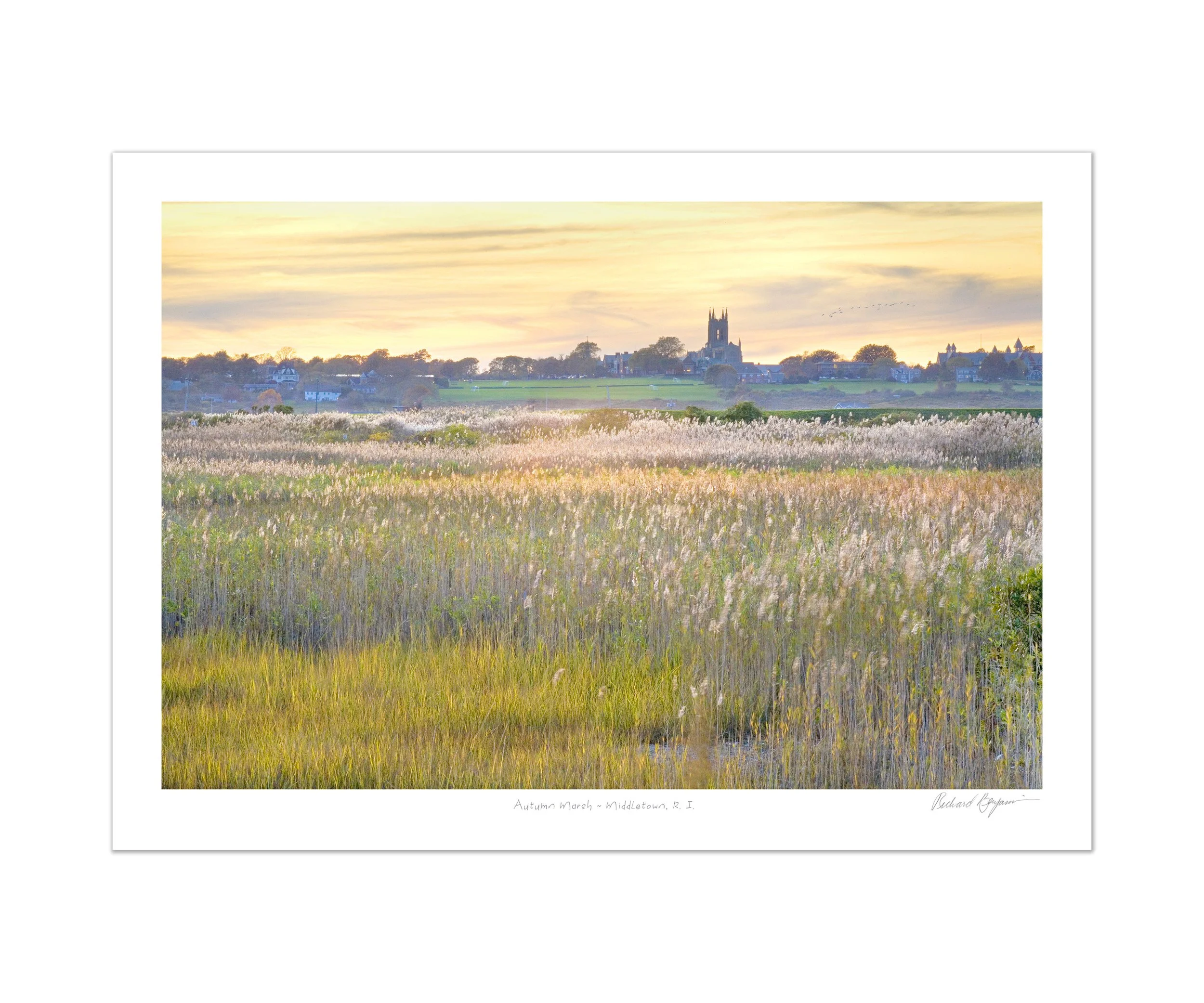 2V0831 Middletown Marsh pastel v2.jpg