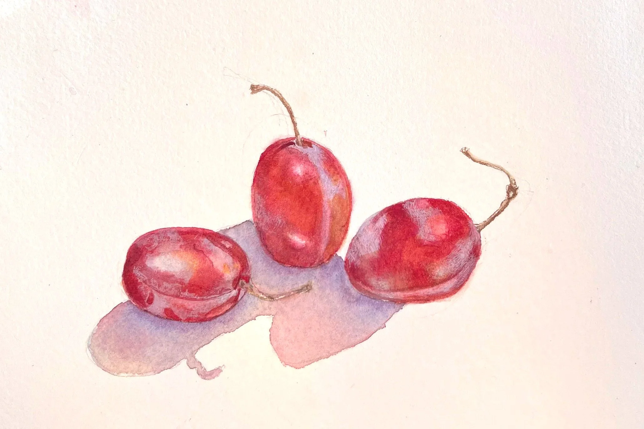 Watercolour plums