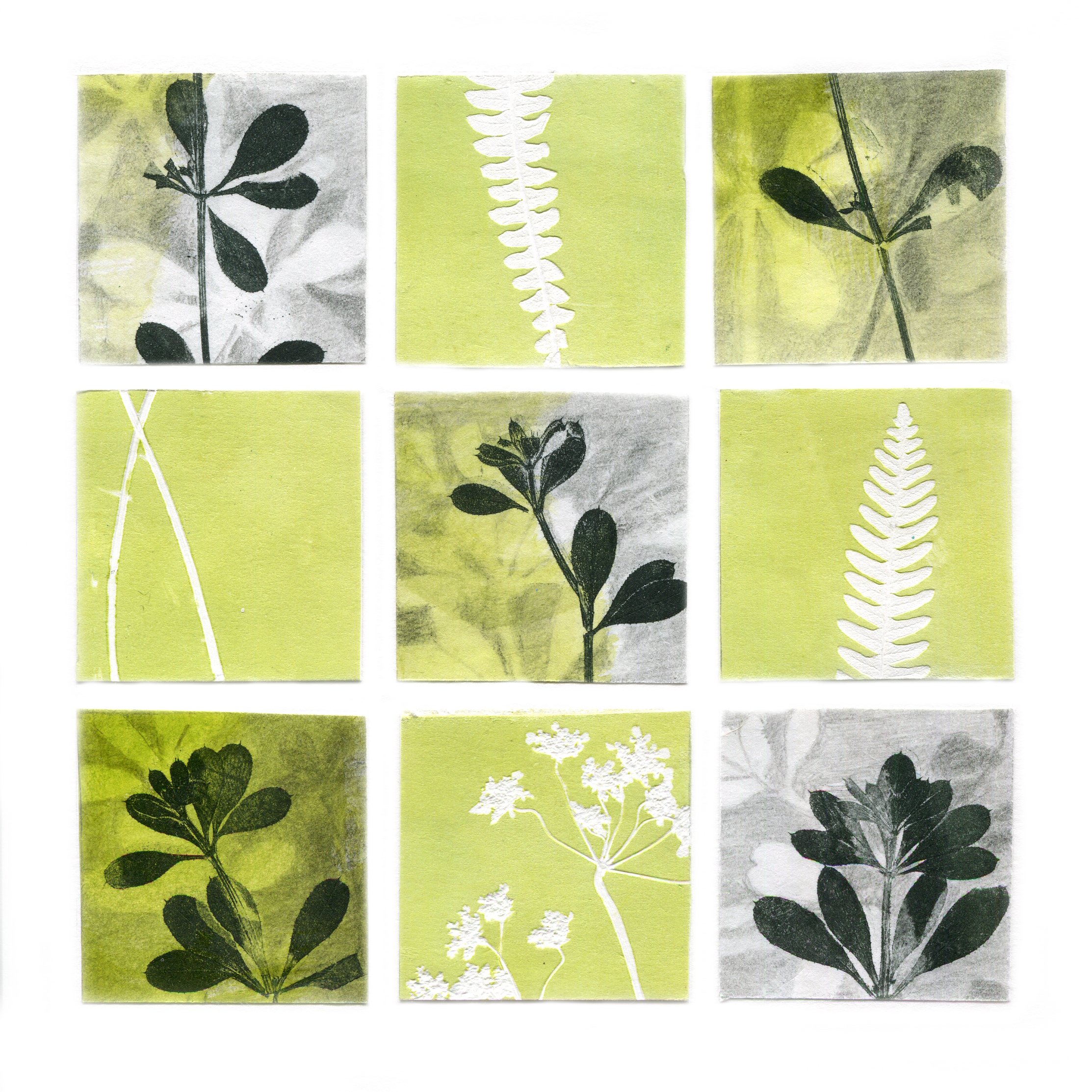 Botanical Monoprint
