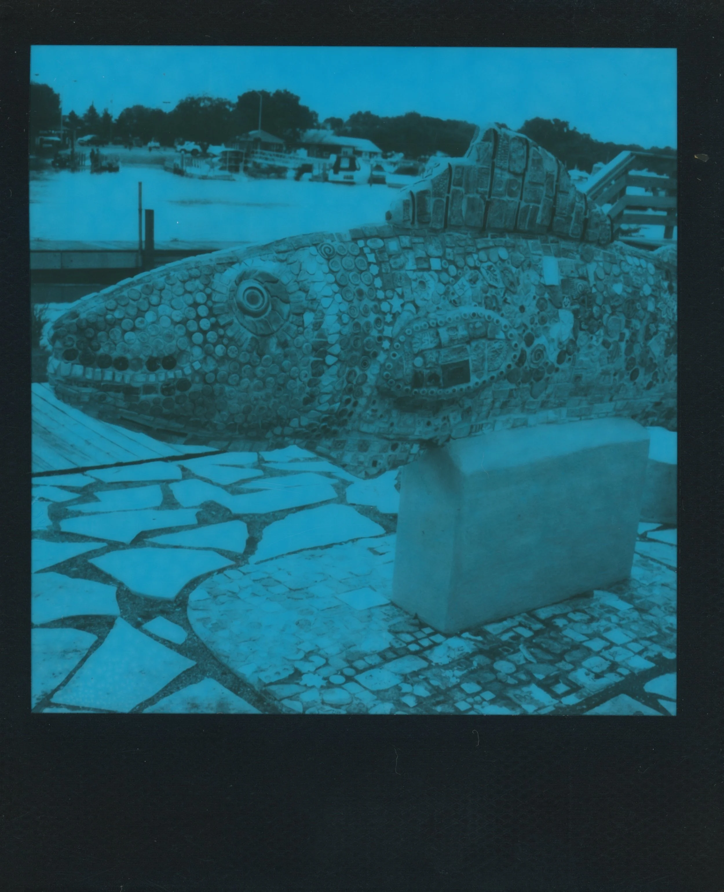 blue 5 25.jpg