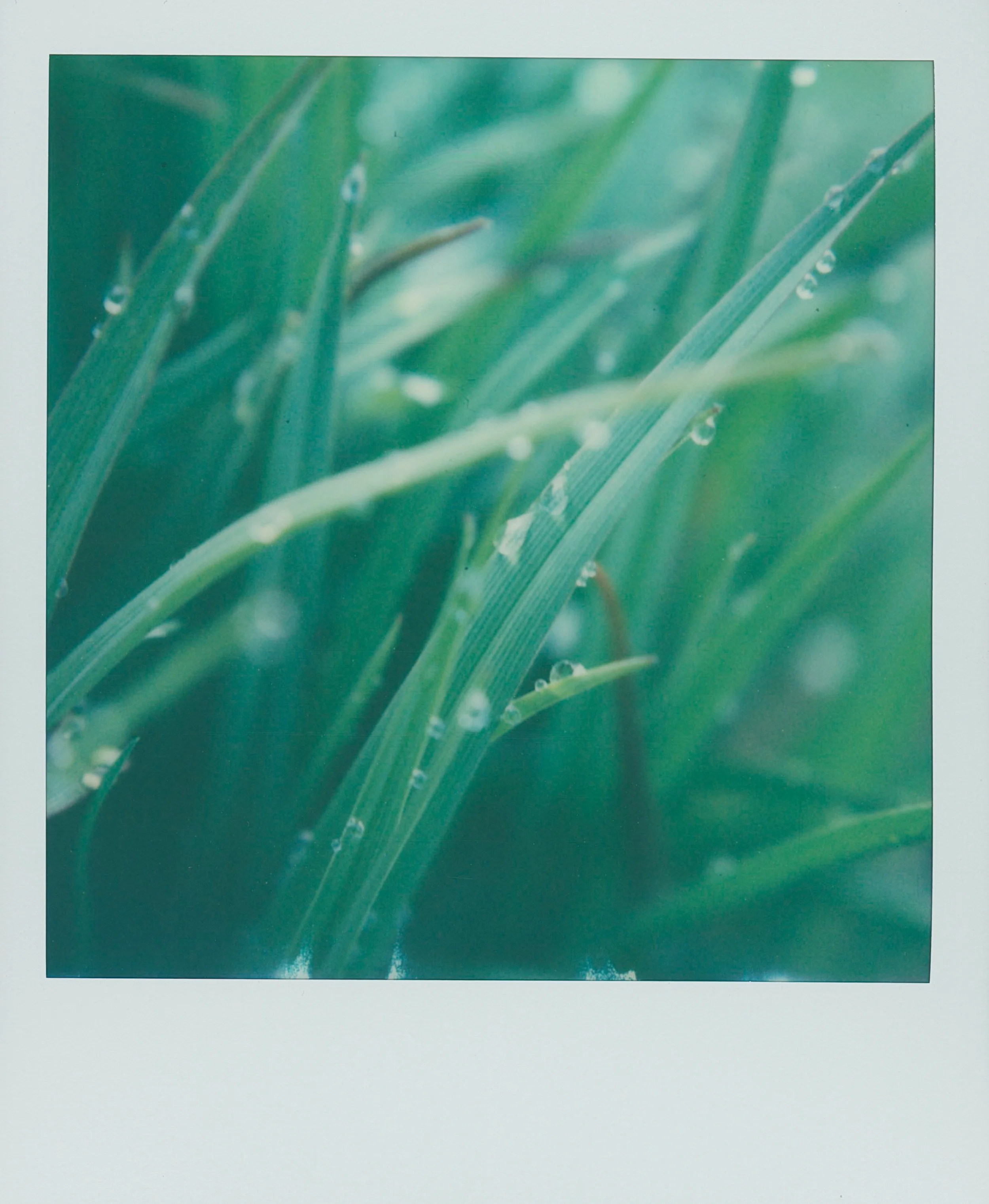 untitled-4.jpg