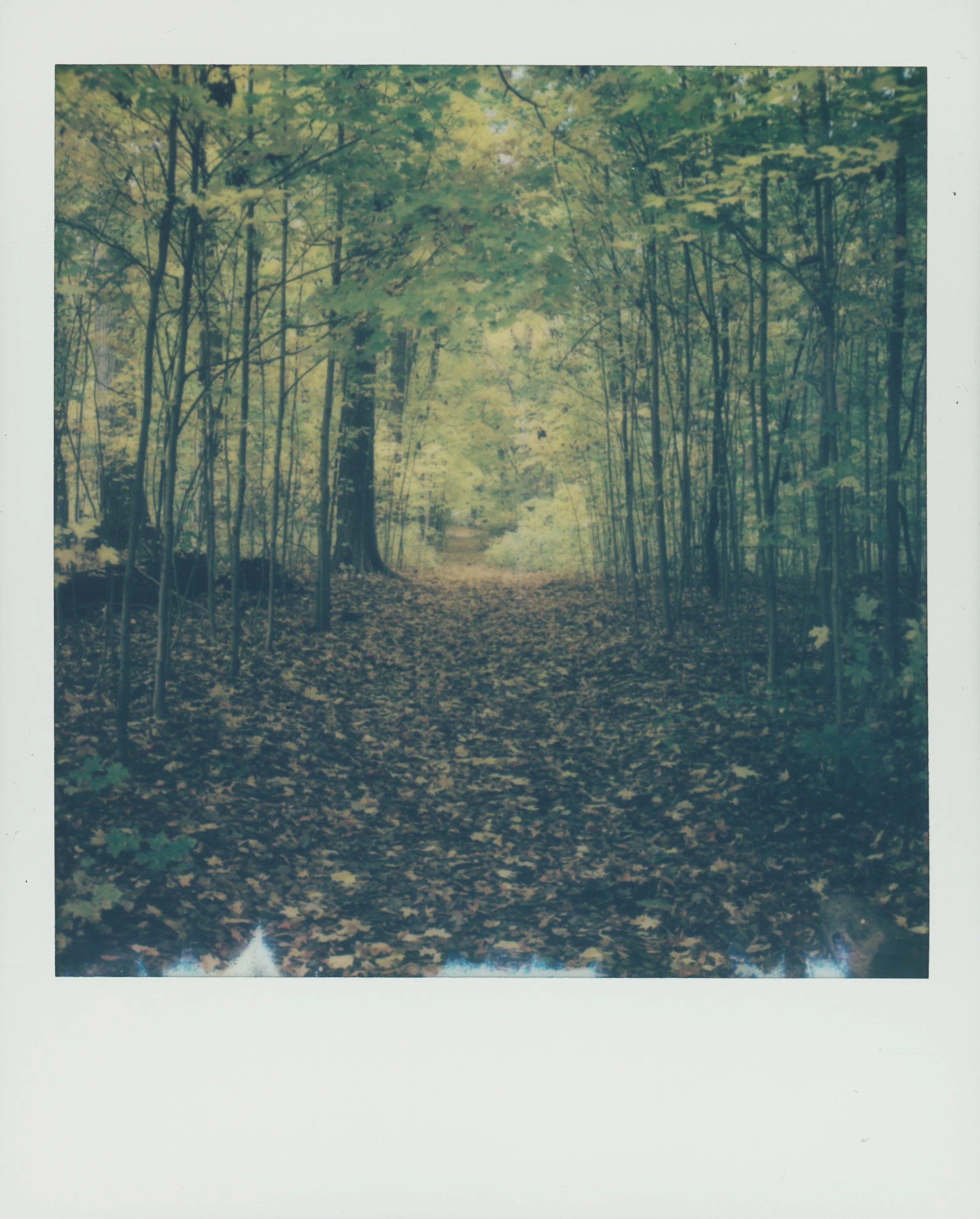  (2) (2).jpg