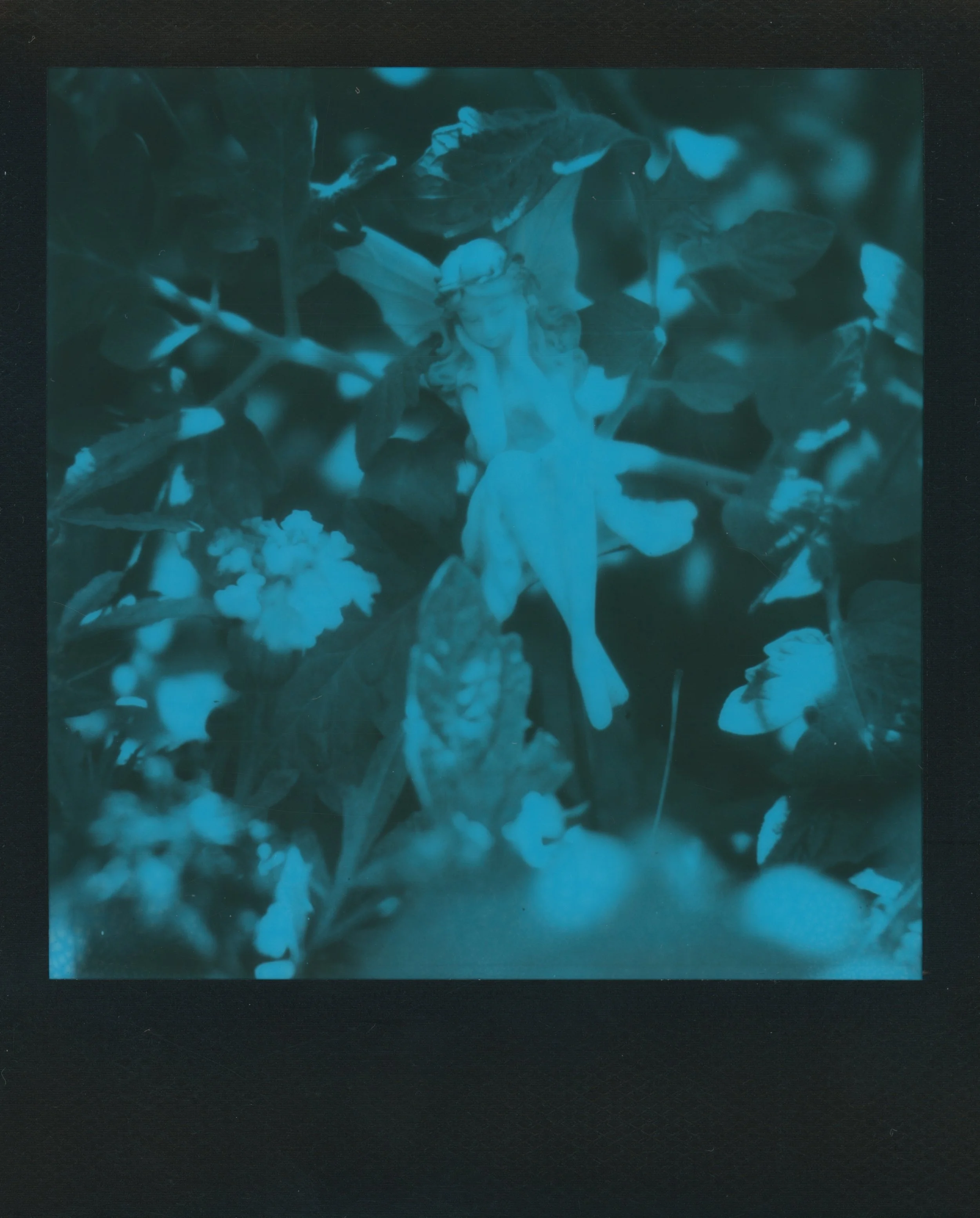 blue 5 26.jpg
